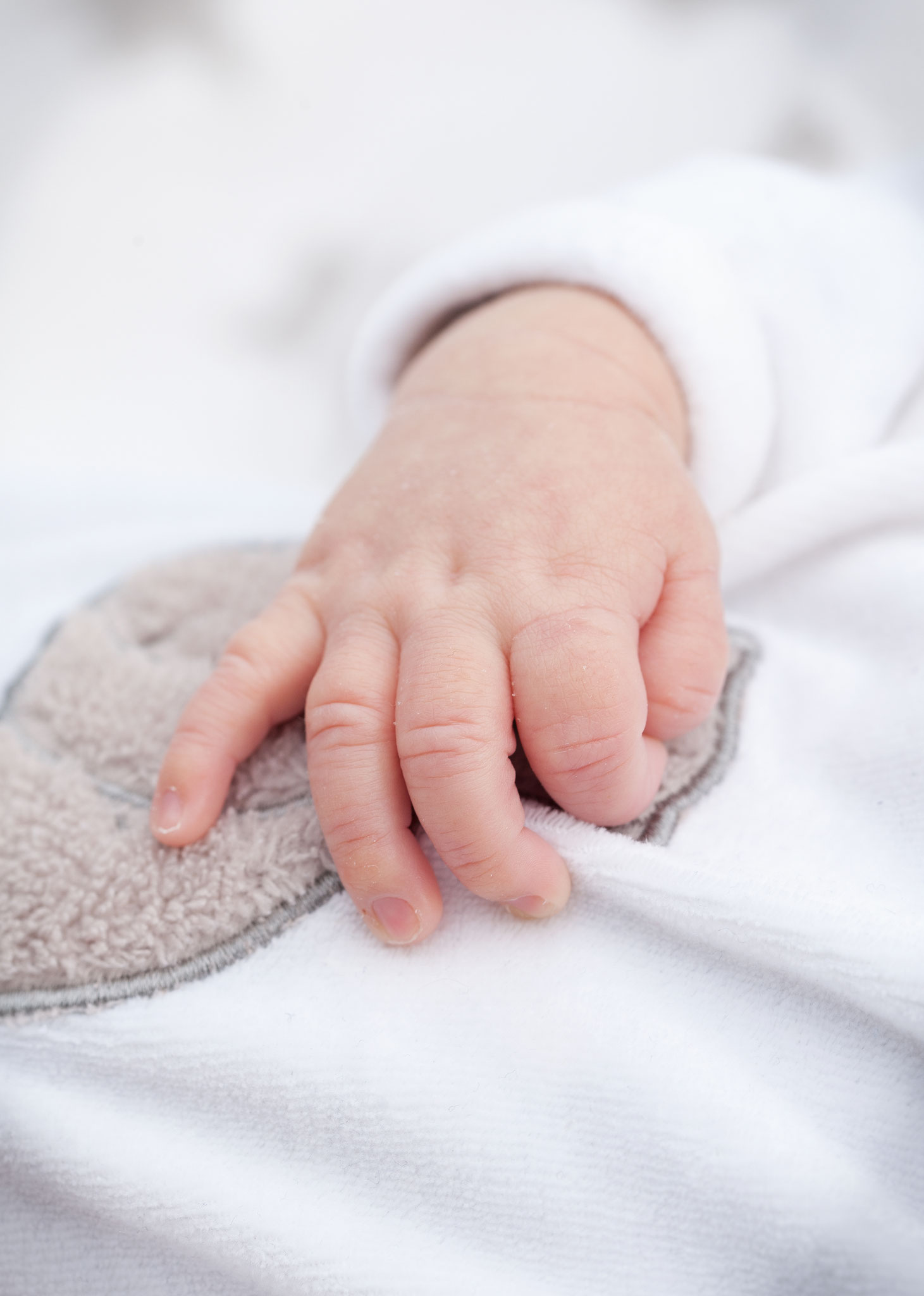 Professionelle Fotografin Babyfotos