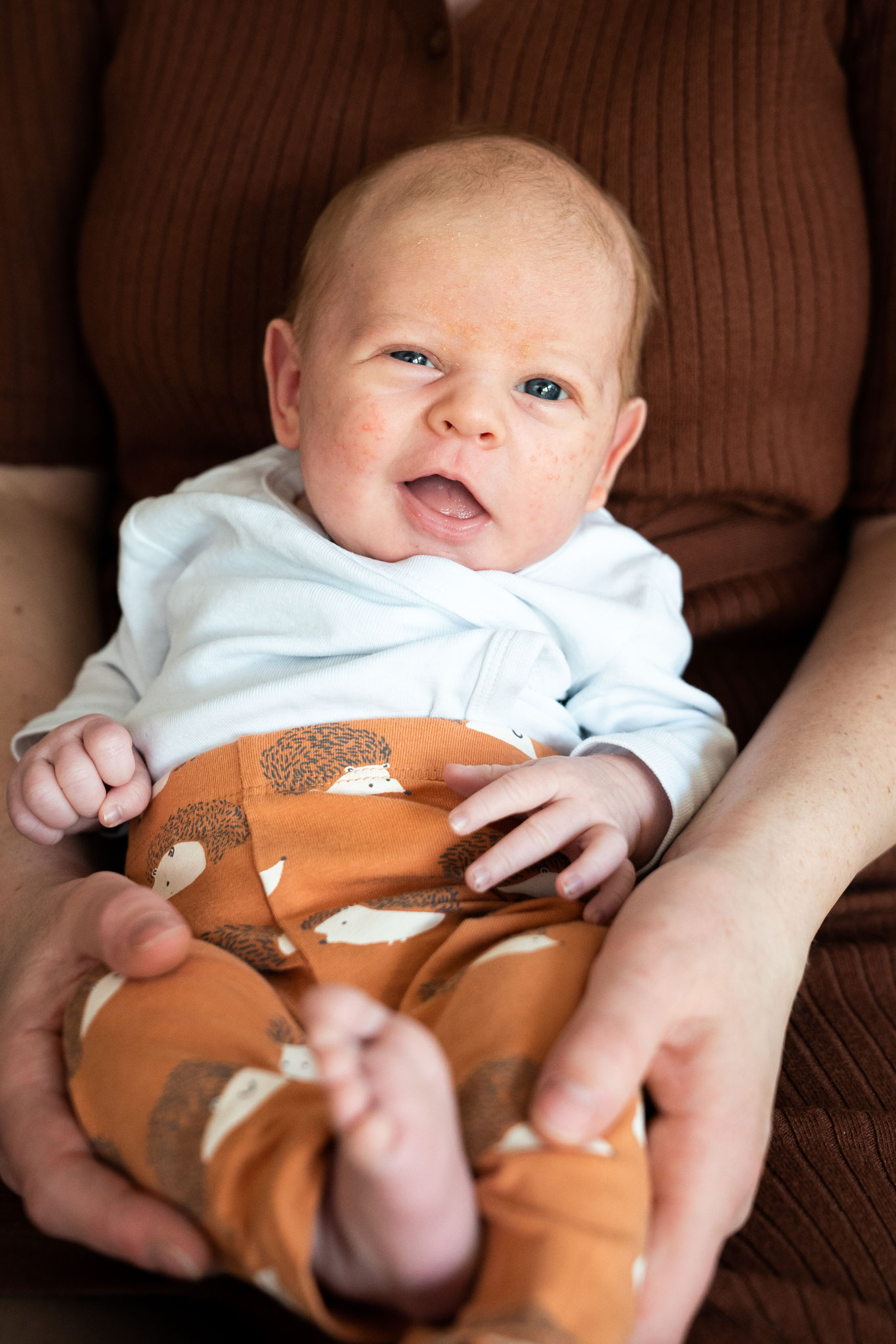 Fotograf Rafz Eglisau