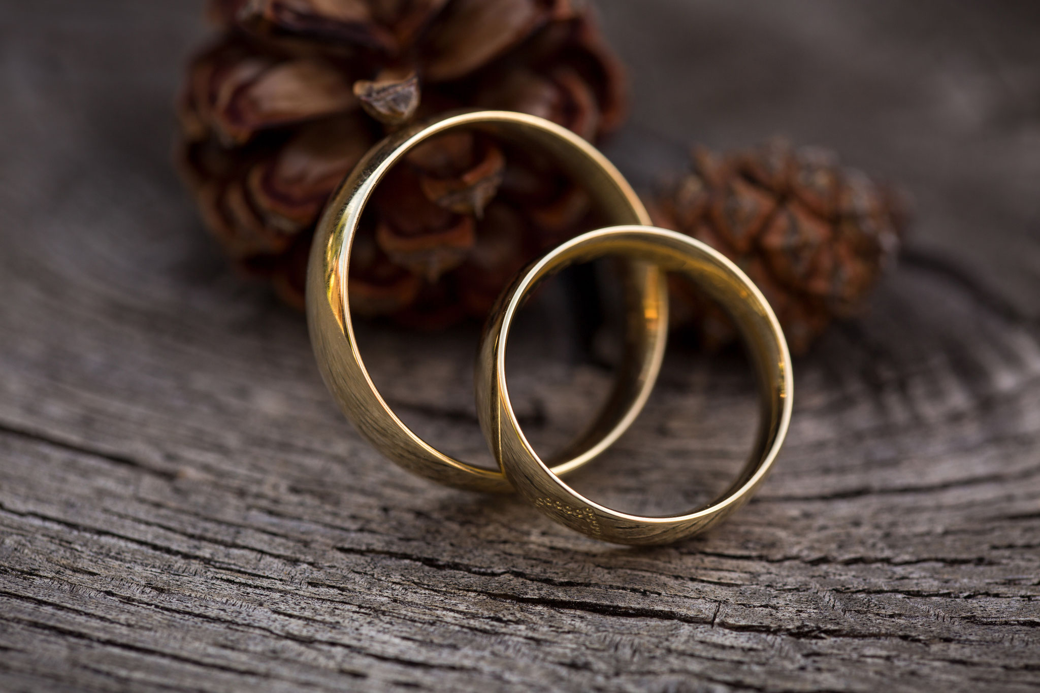 Hochzeit Fotografin Schaffhausen