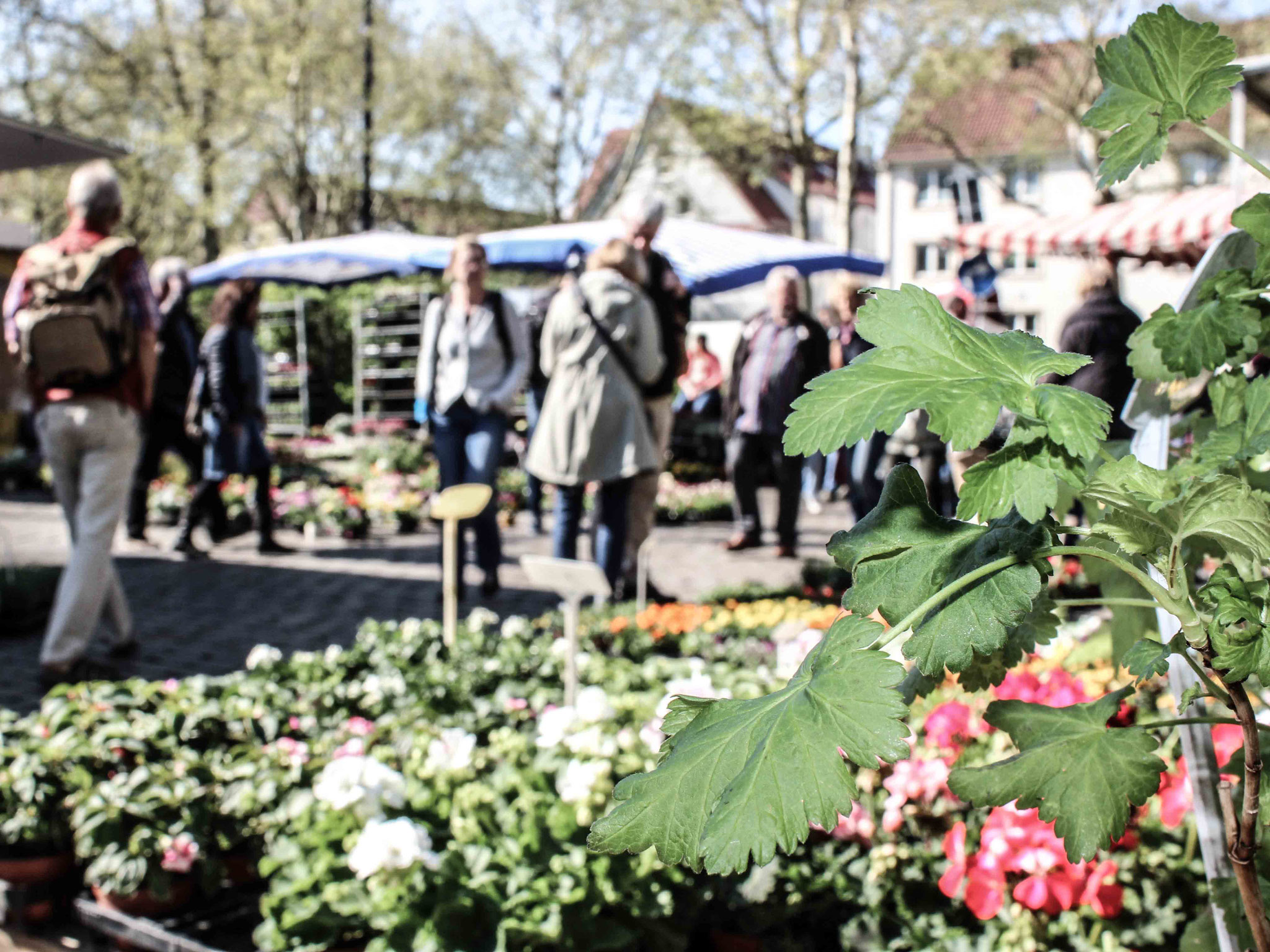 Findorffmarkt Findorffer Geschäftsleute e.V.