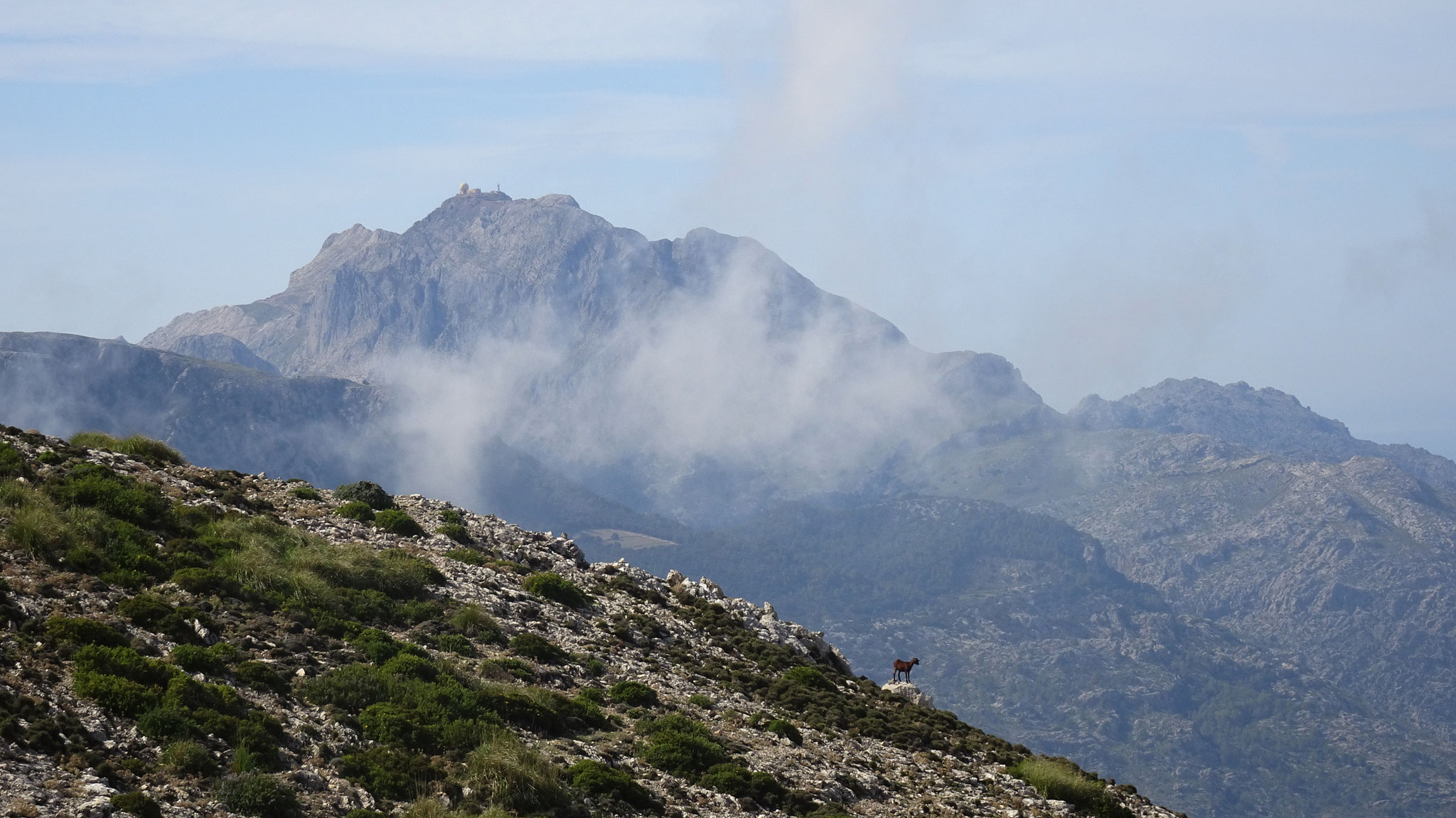 Puig Major und Bergbewohner