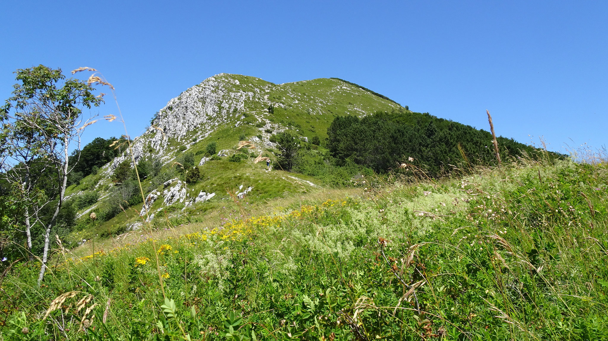 Südseite