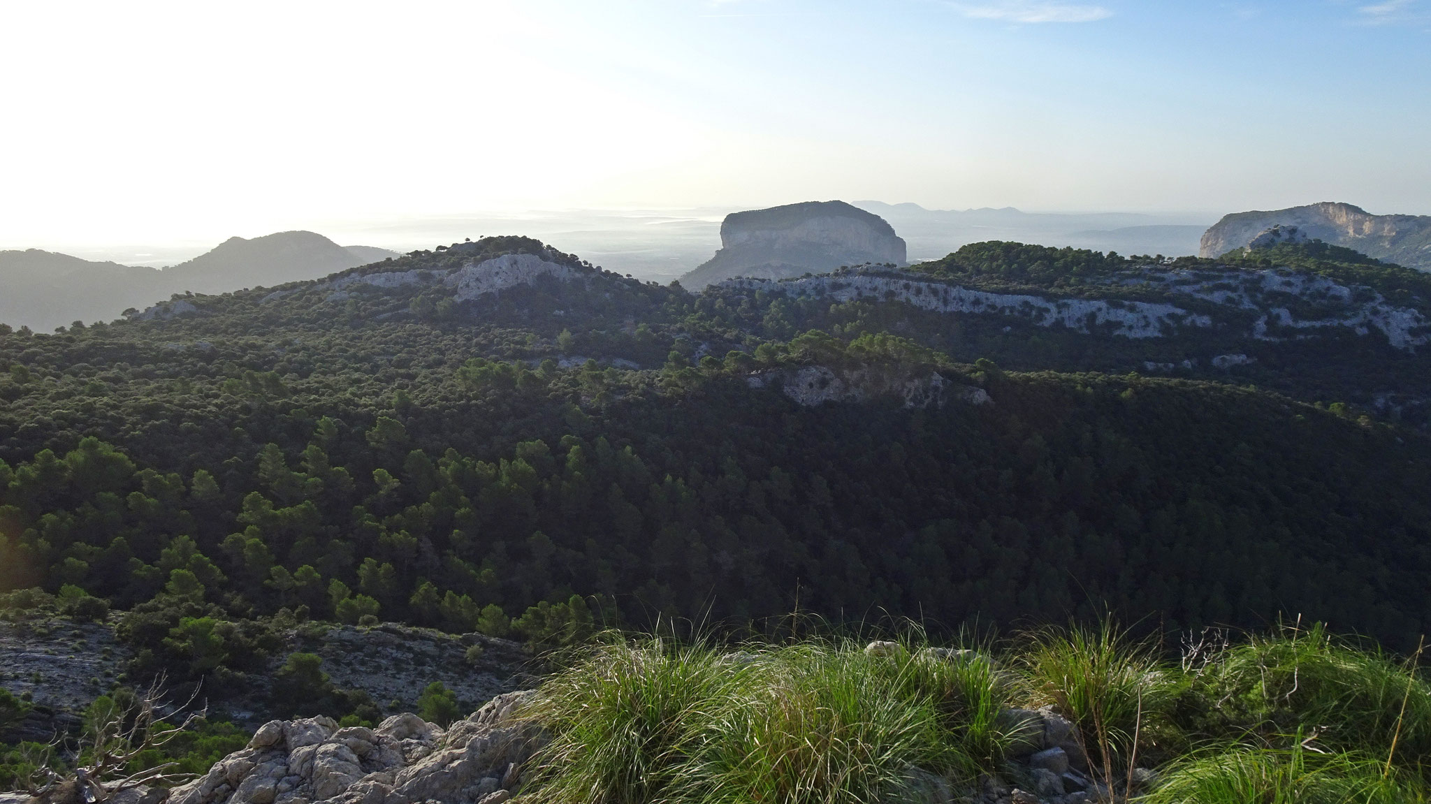 Tafelberg - erwanderbar!