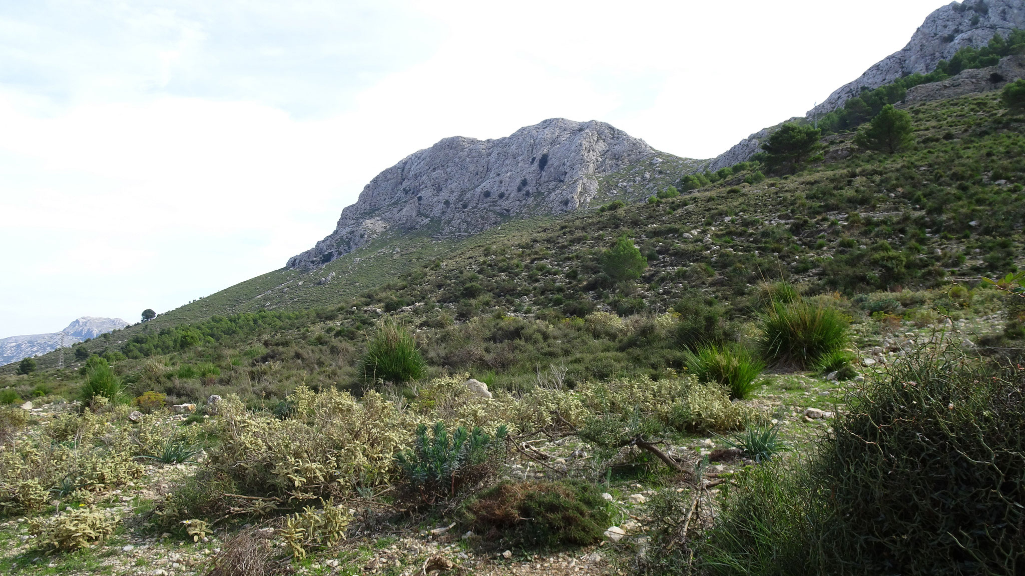 auf dem Rückweg Blick zum ersten Gipfel