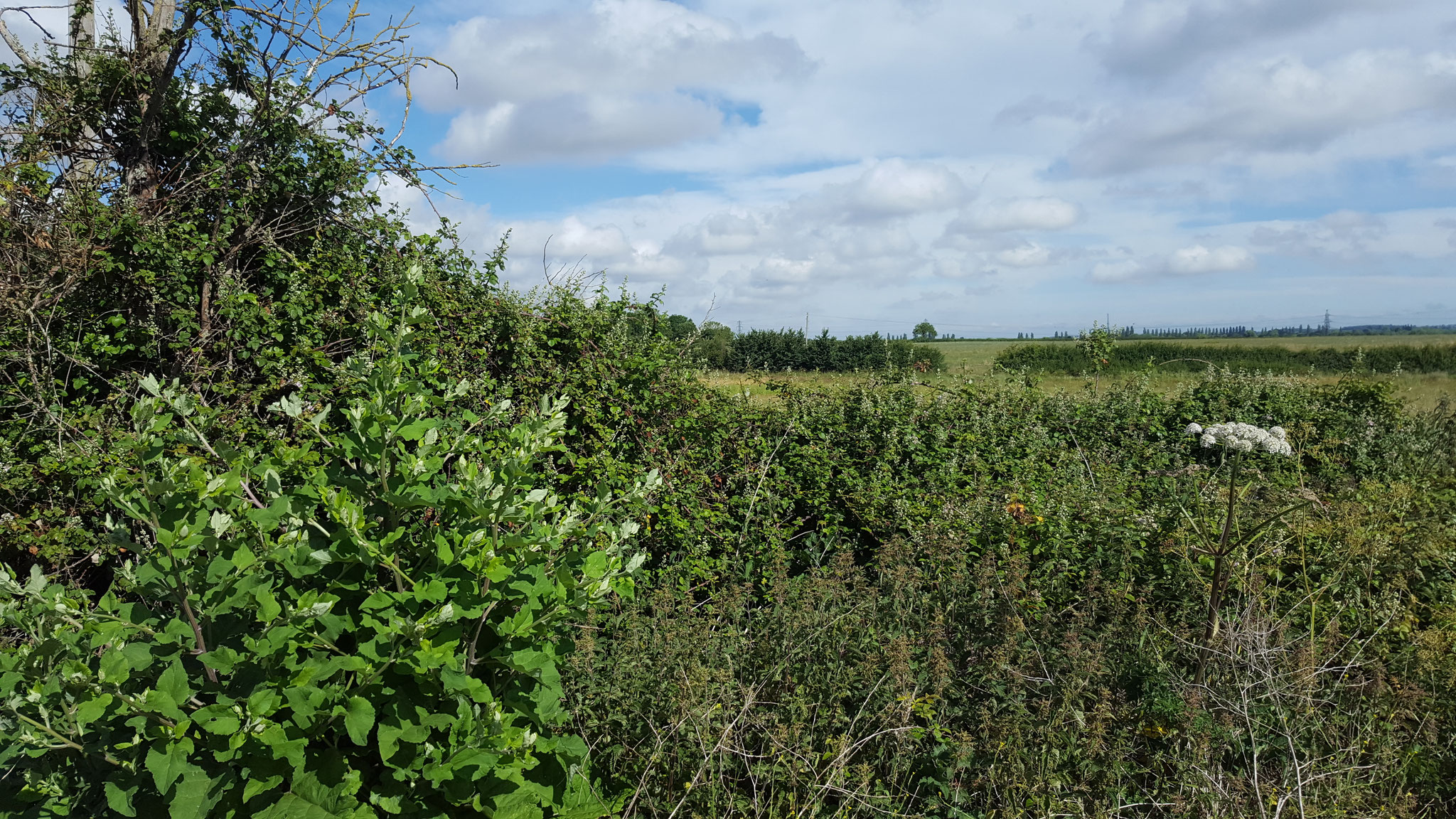 Looking North towards Kidlington on the path from Banbury Road to Frideswide Farm