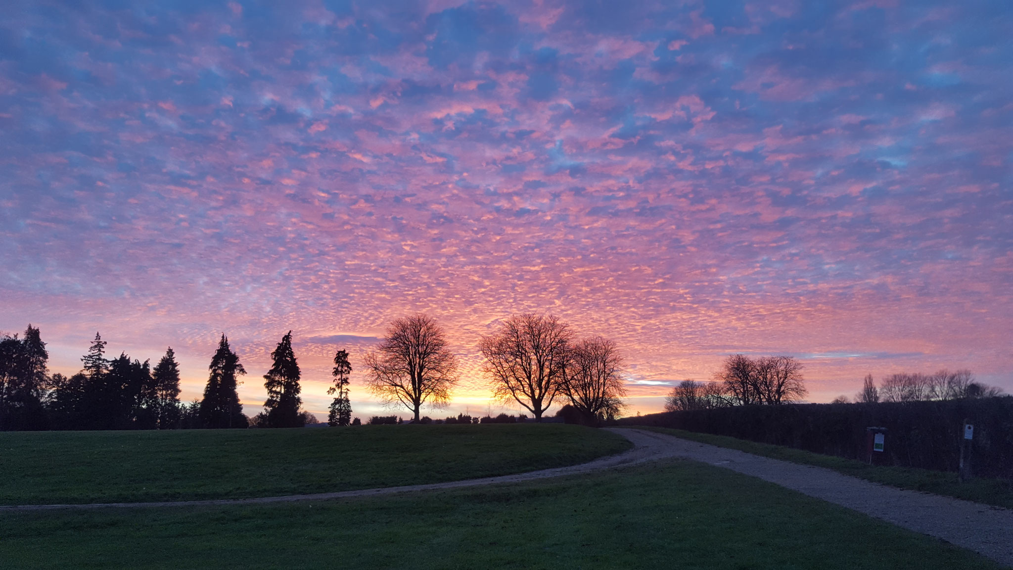 Cutteslowe park looking west #1