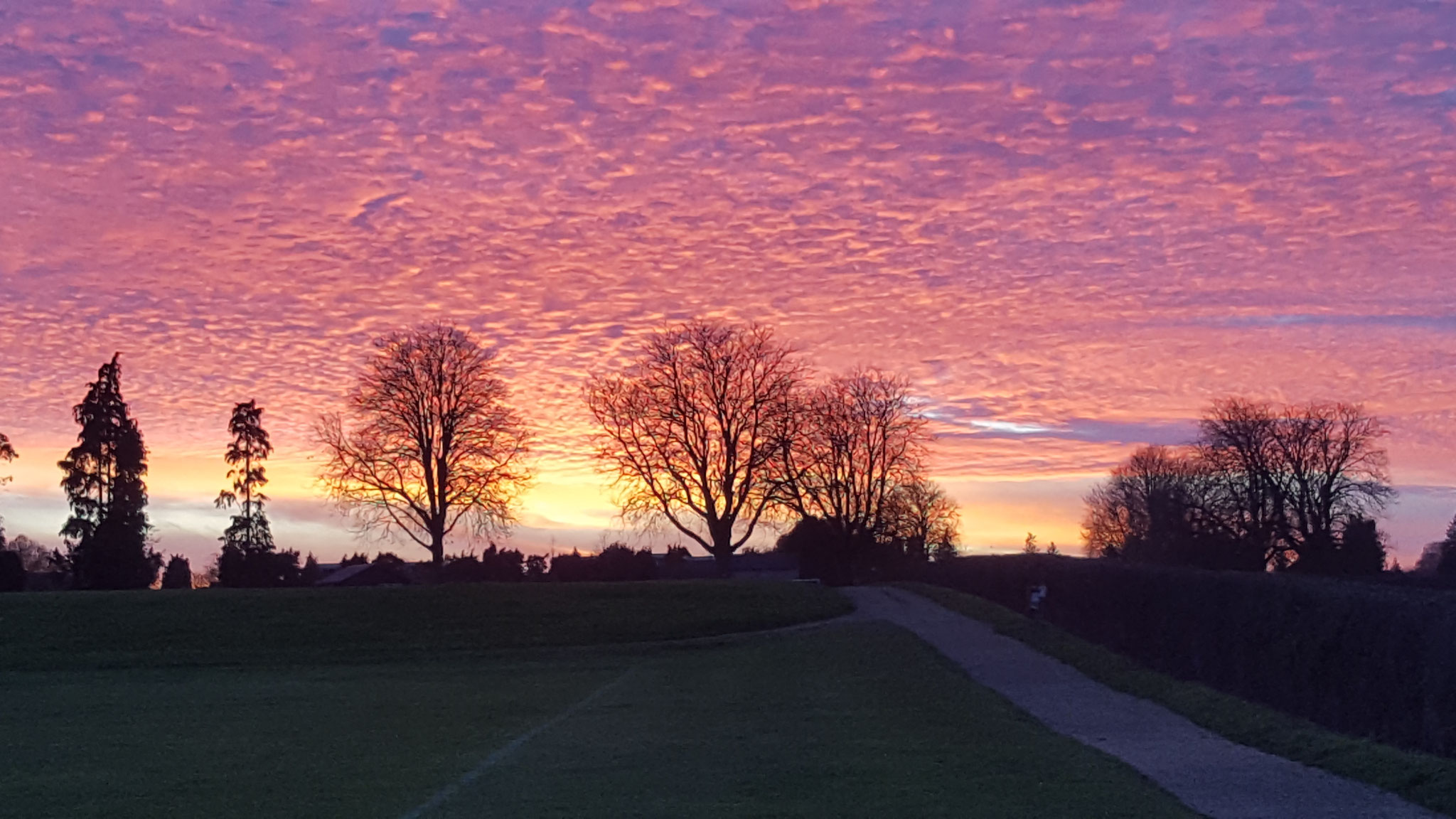 Cutteslowe park looking west #2