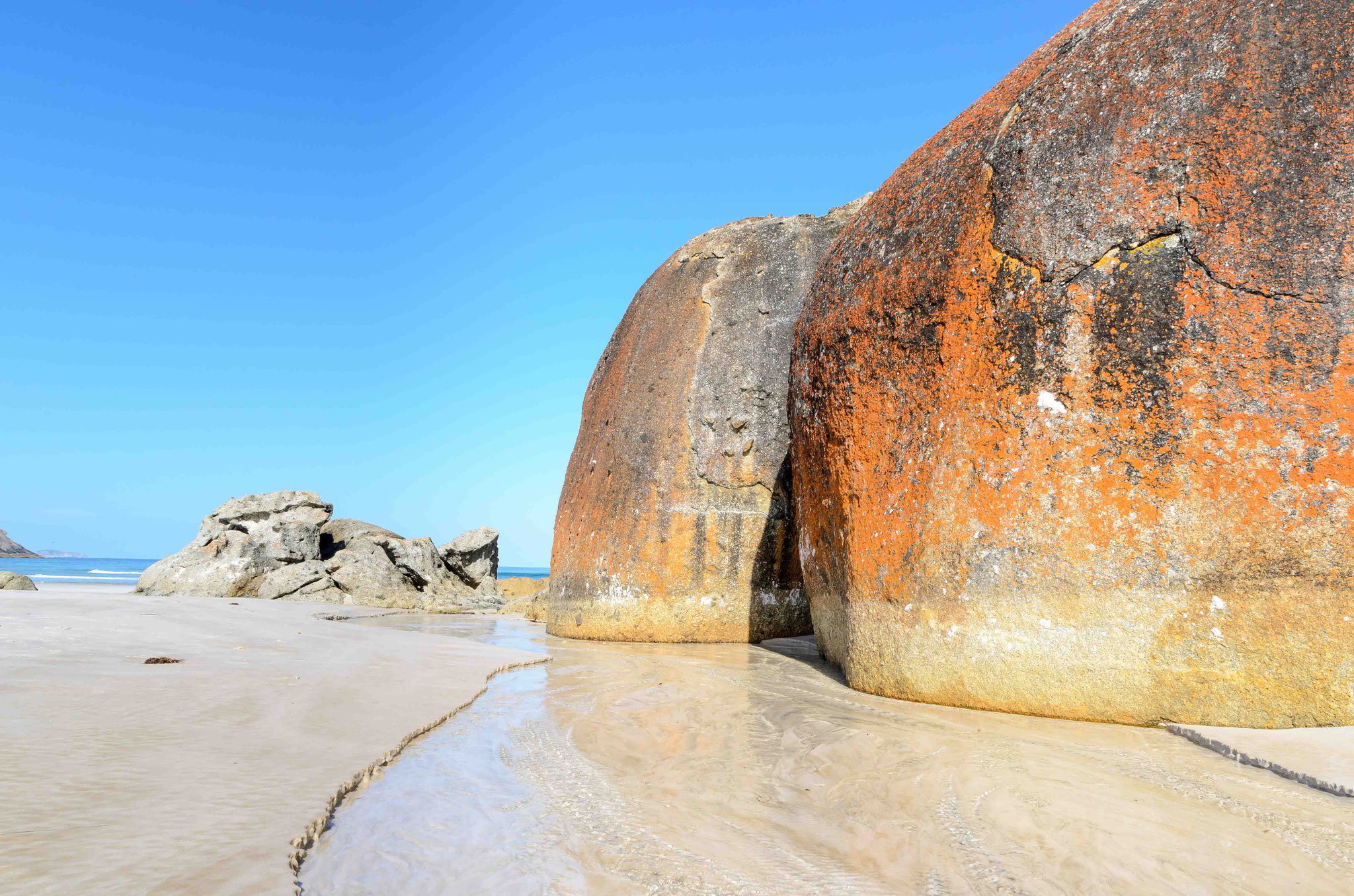 Im Wilson Promontory...