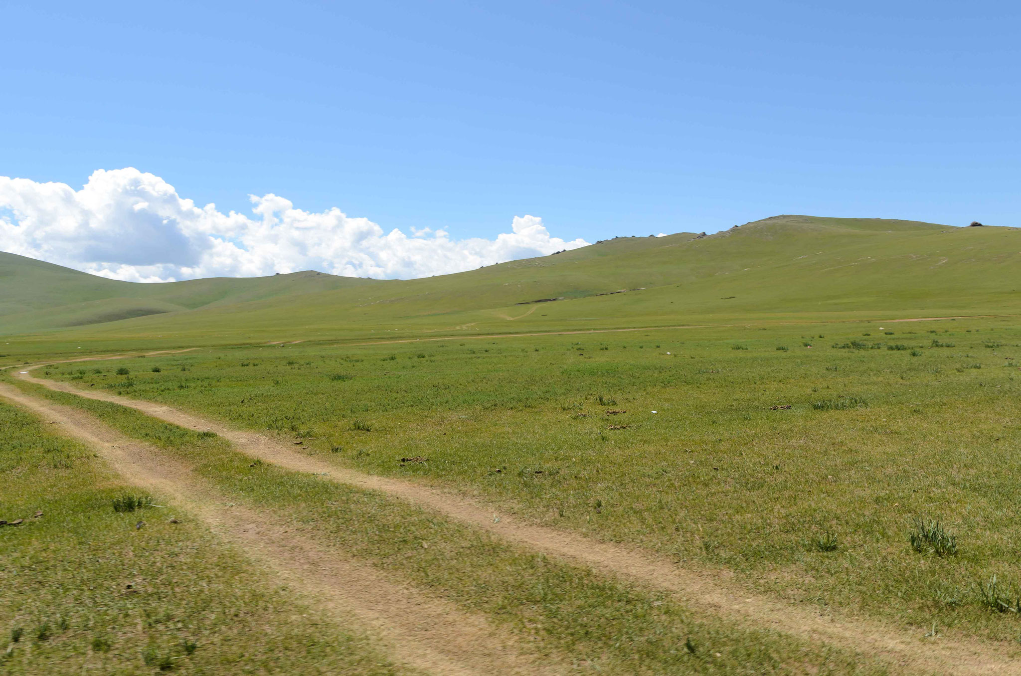 Typische "Straße" in der Mongolei...