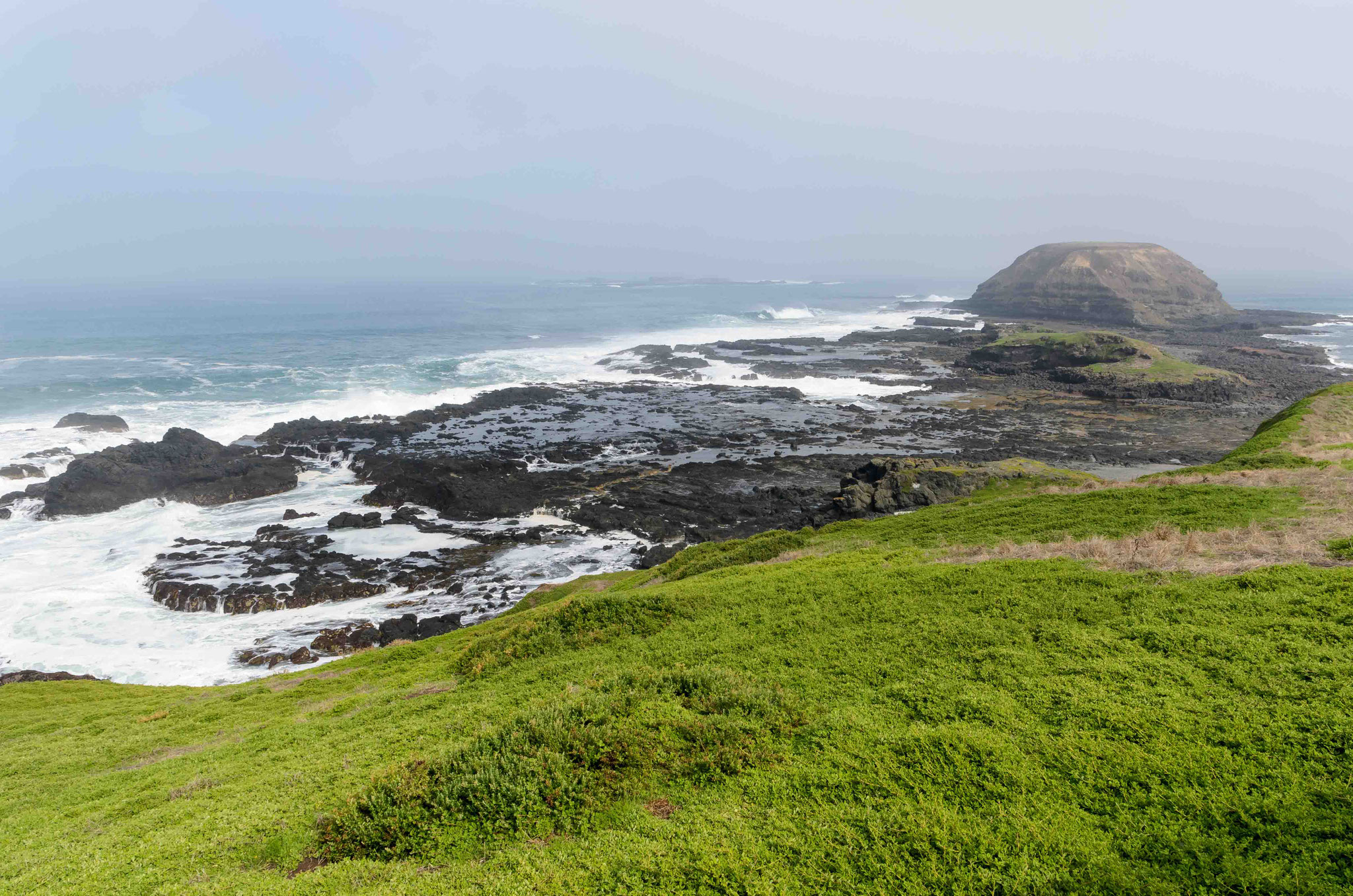 Kurzer Abstecher auf Phillip Island