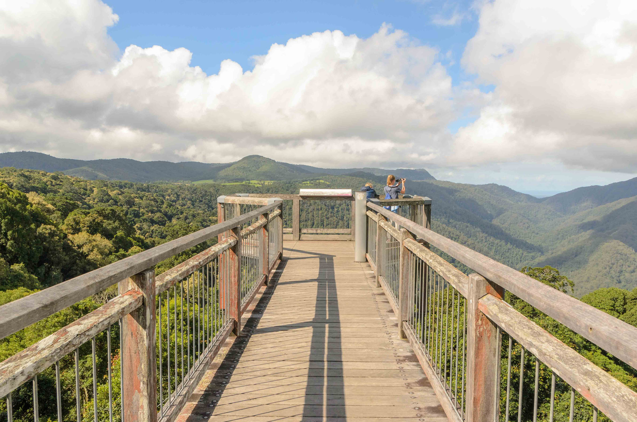 Skywalk im Dorrigo Nationalpark