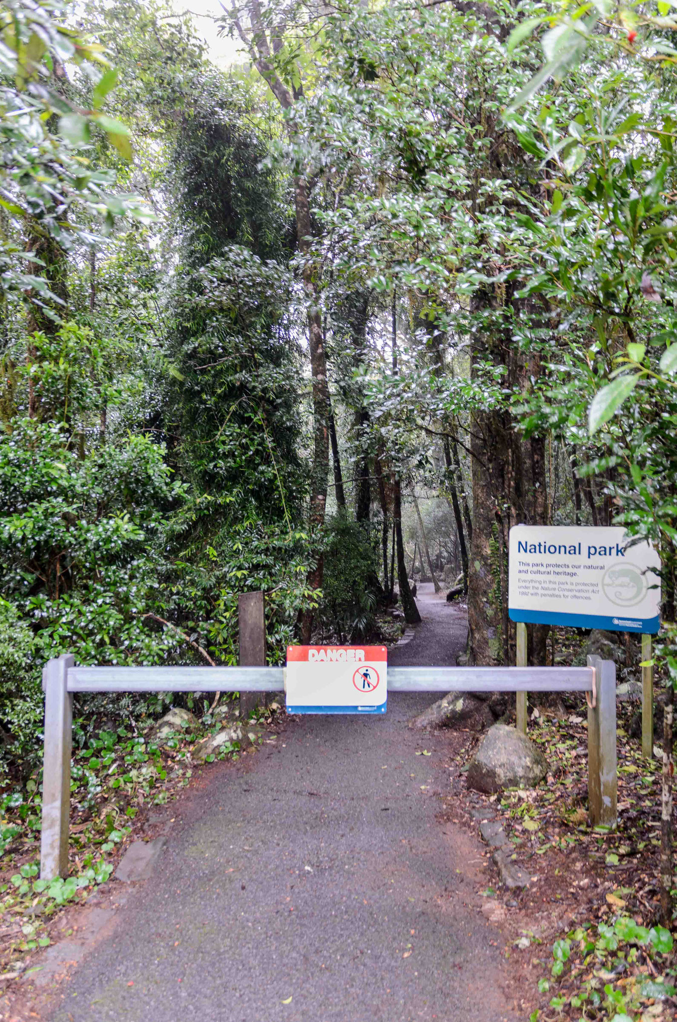 Im Springbrook Nationalpark