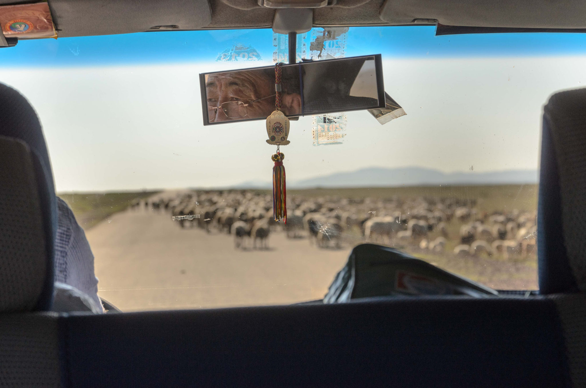 Und kann weiter die Tiere von der Straße vertreiben