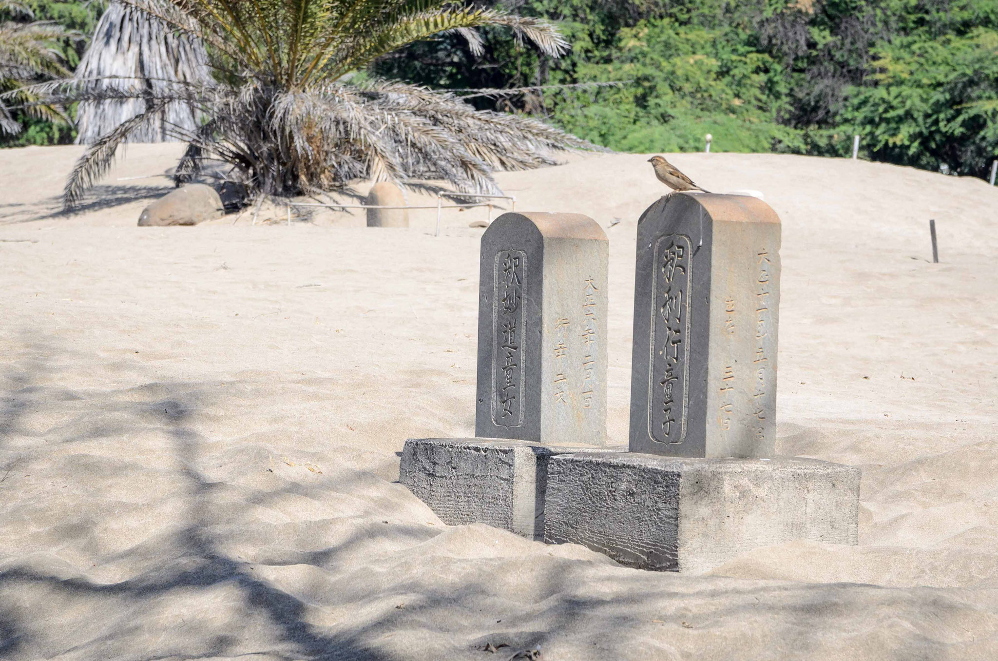 Friedhof direkt am Strand