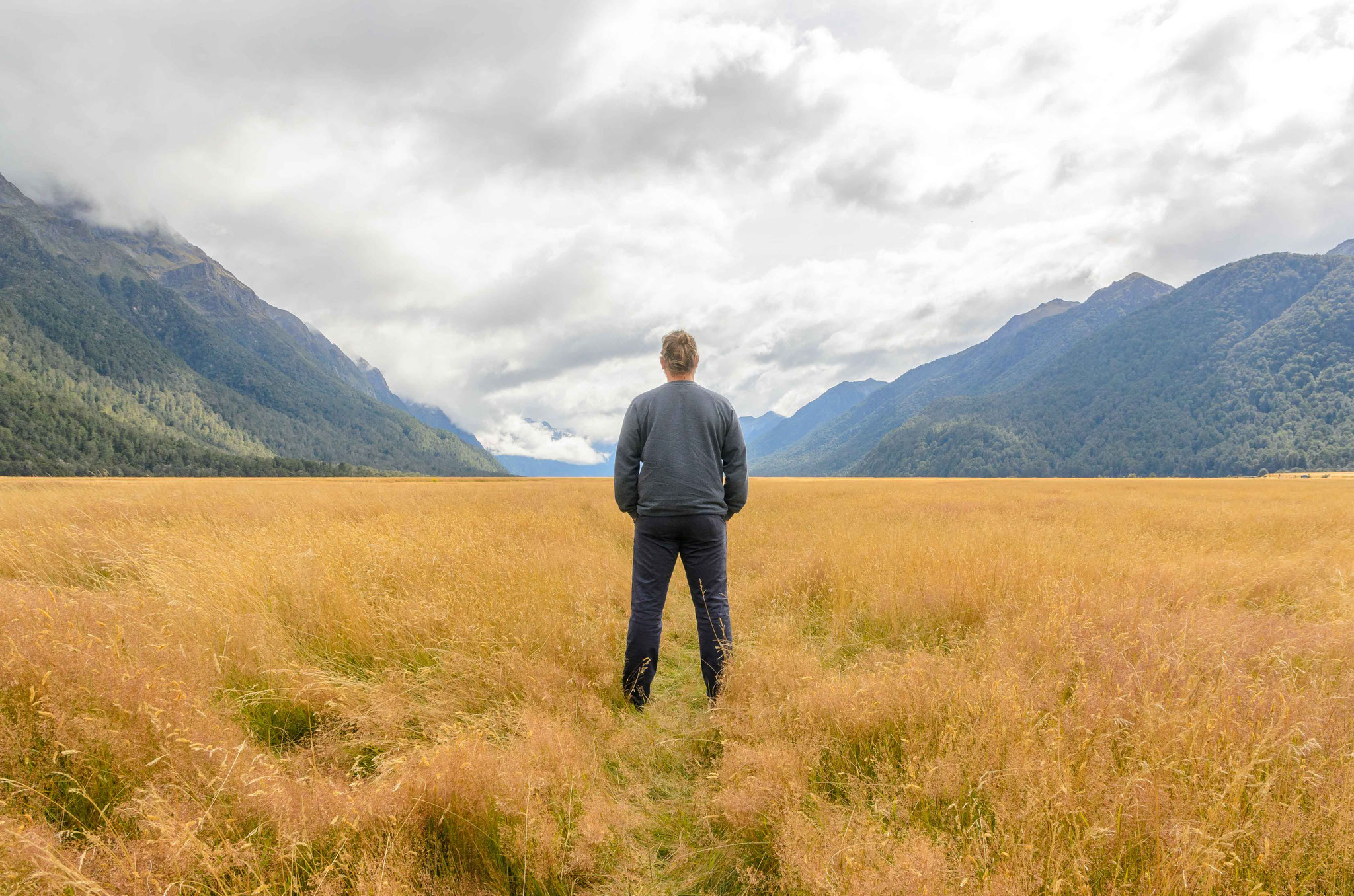 Weg nach Milford Sound