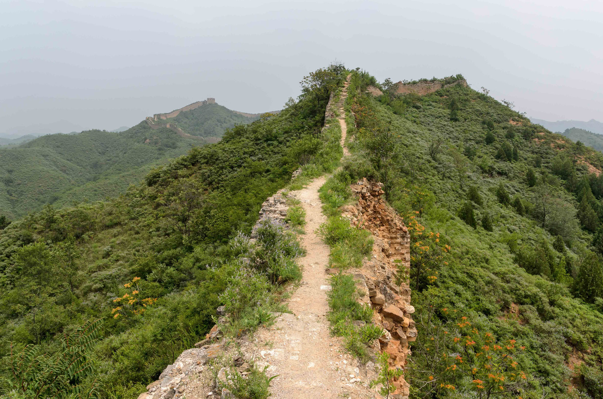 ...doch nach kurzer Zeit, haben wir durch unterschiedliche Laufgeschwindigkeiten, die Mauer für uns