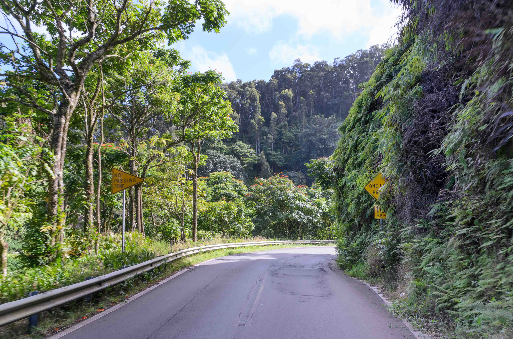 Road to Hana