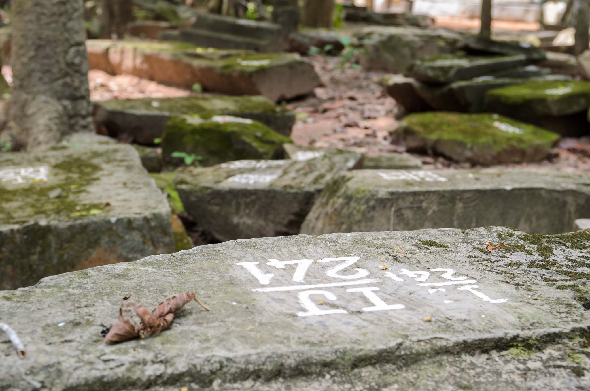 Ta Phrom wird in den nächsten Jahren restauriert