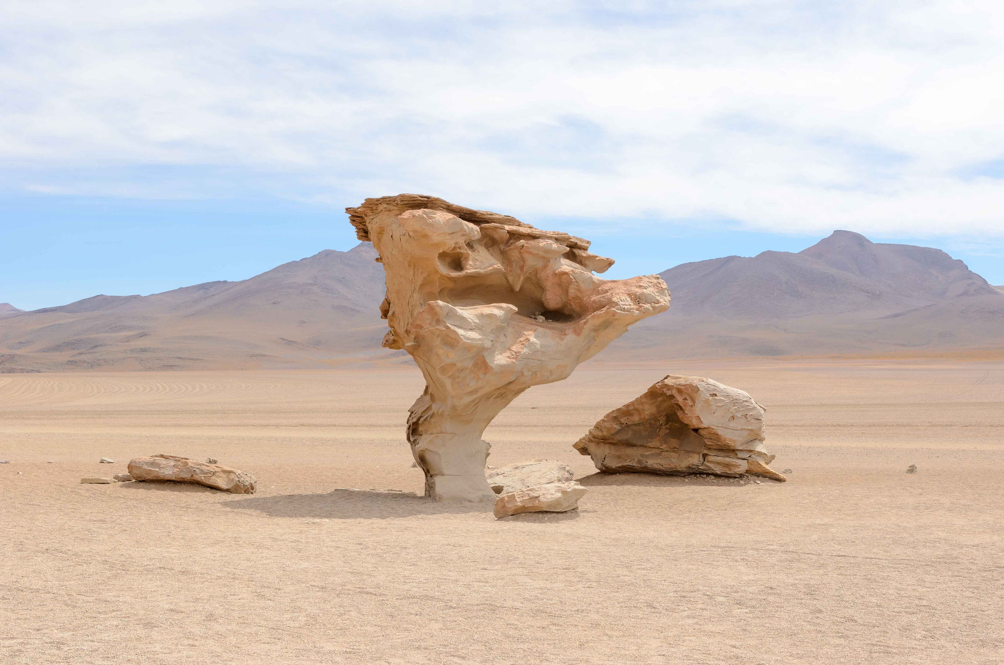 Arbol de piedra