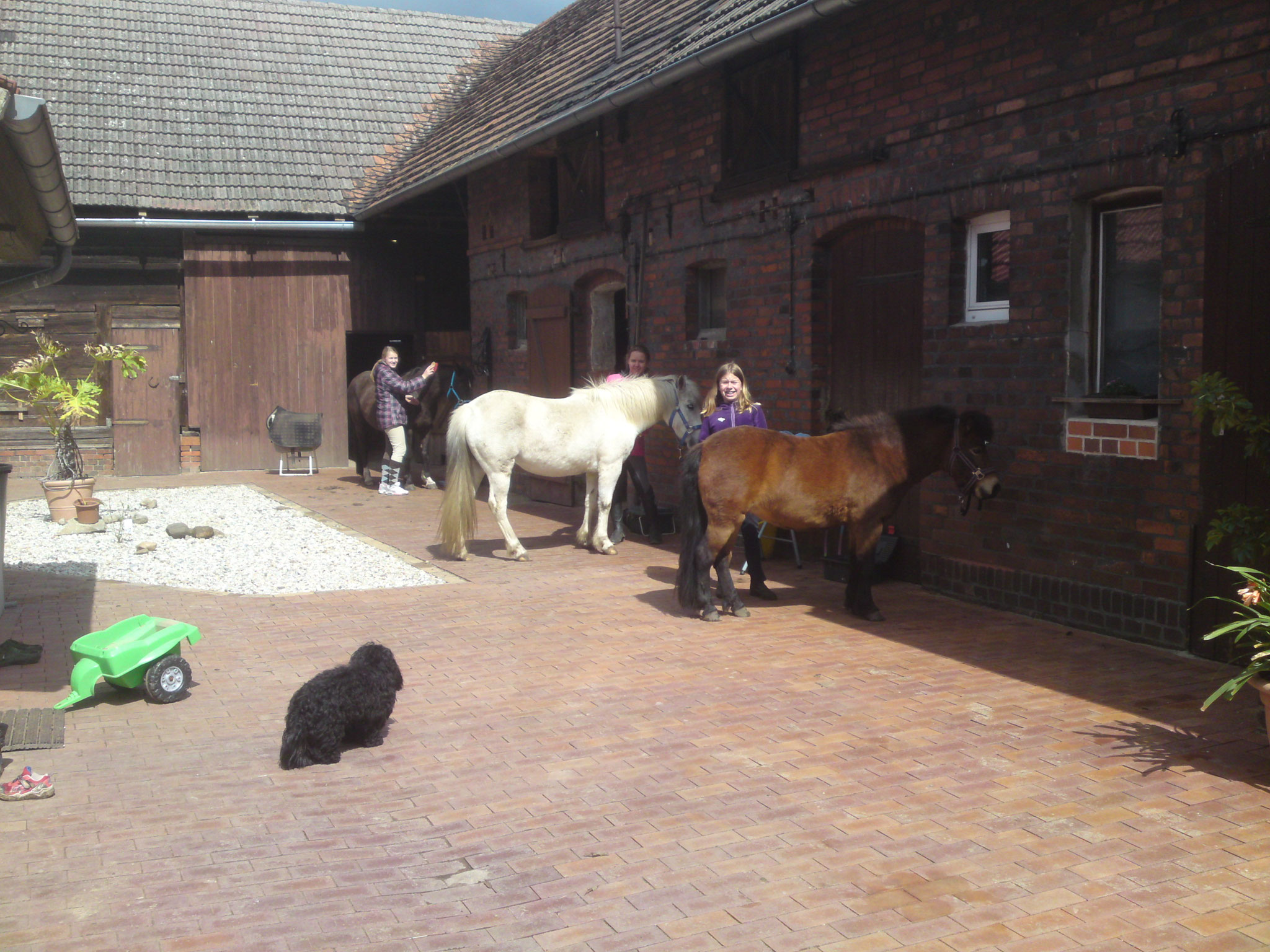 Unsere Anlage - ponyhof-kudowas Webseite!