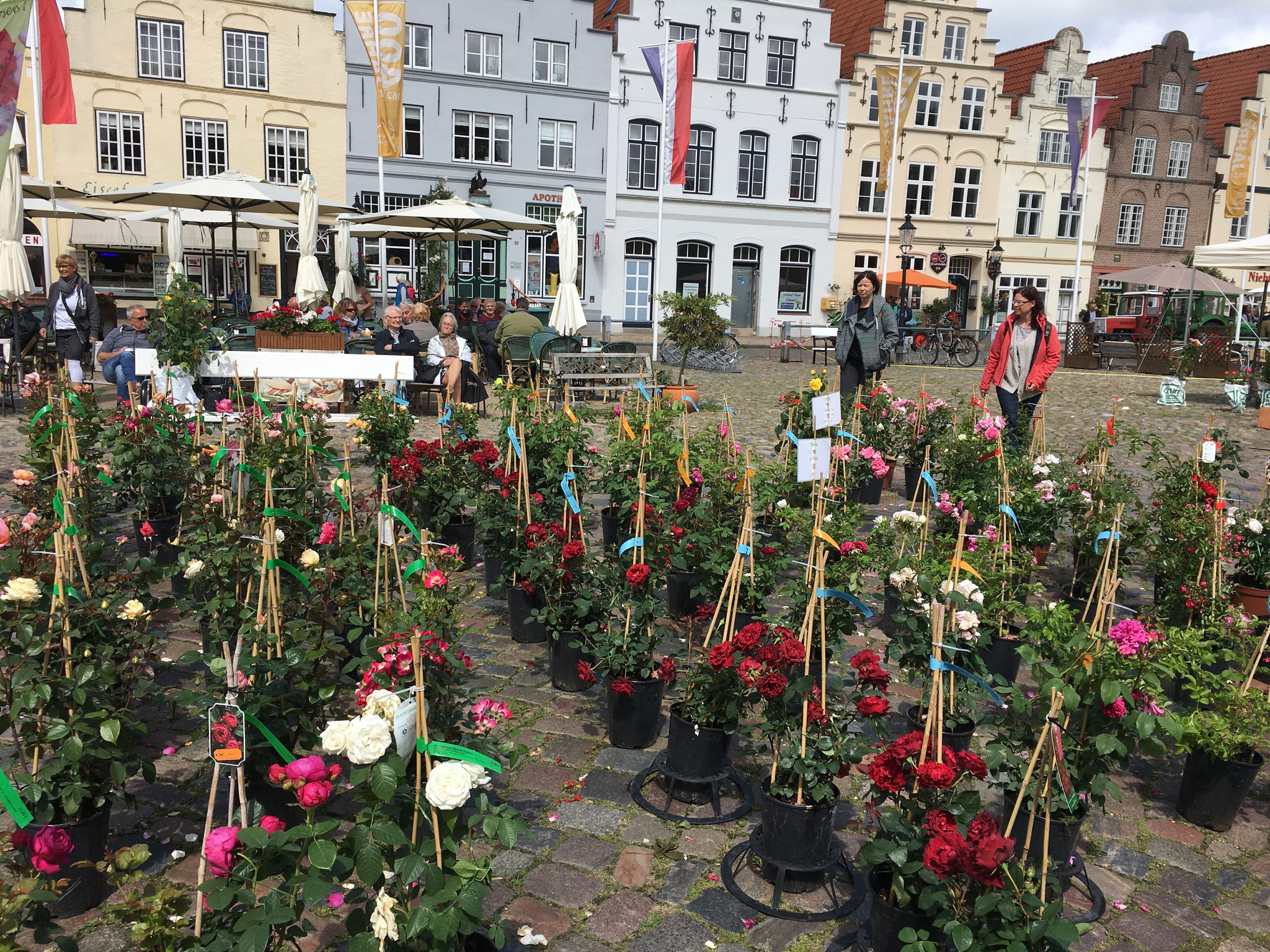 Im Sommer: Der Rosenmarkt und viele andere schöne Veranstaltungen