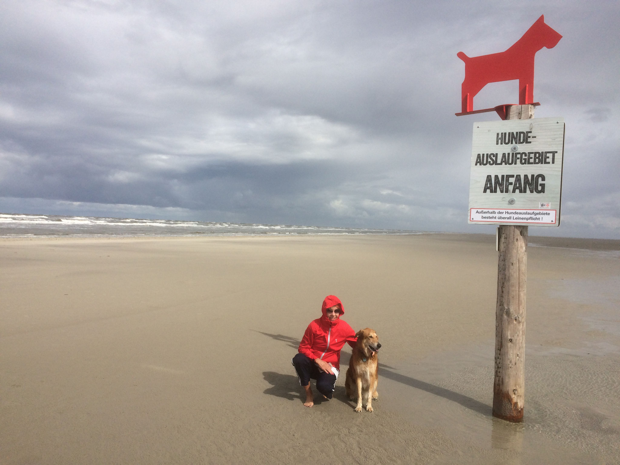 Am Strand von St. Peter Ording, Hunde sind bei uns nach Absprache willkommen