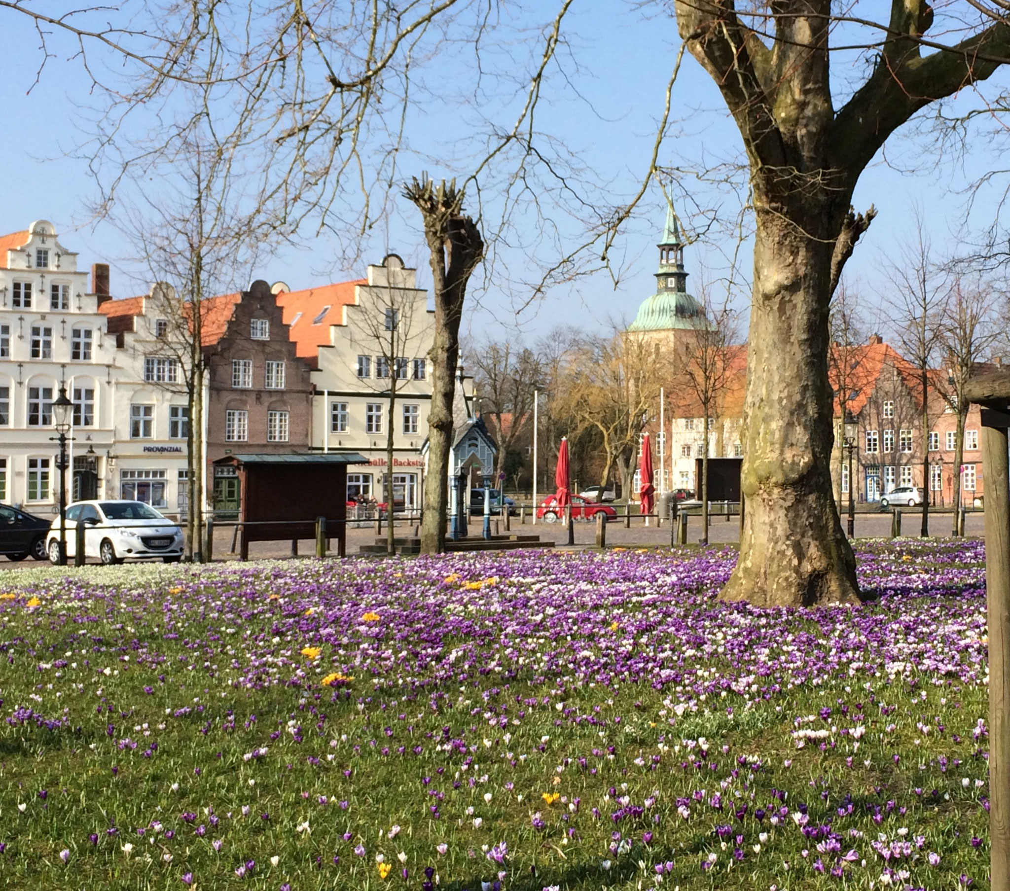 Friedrichstadt blüht auf, historischer Marktplatz 3 Min. vom Haus entfernt