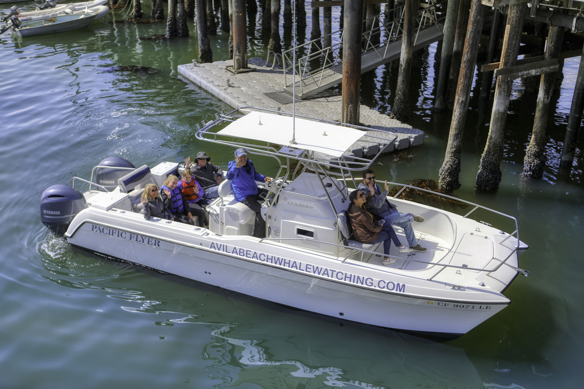 Whale watching and boat tours, San Luis Obispo, Pismo Beach, Avila