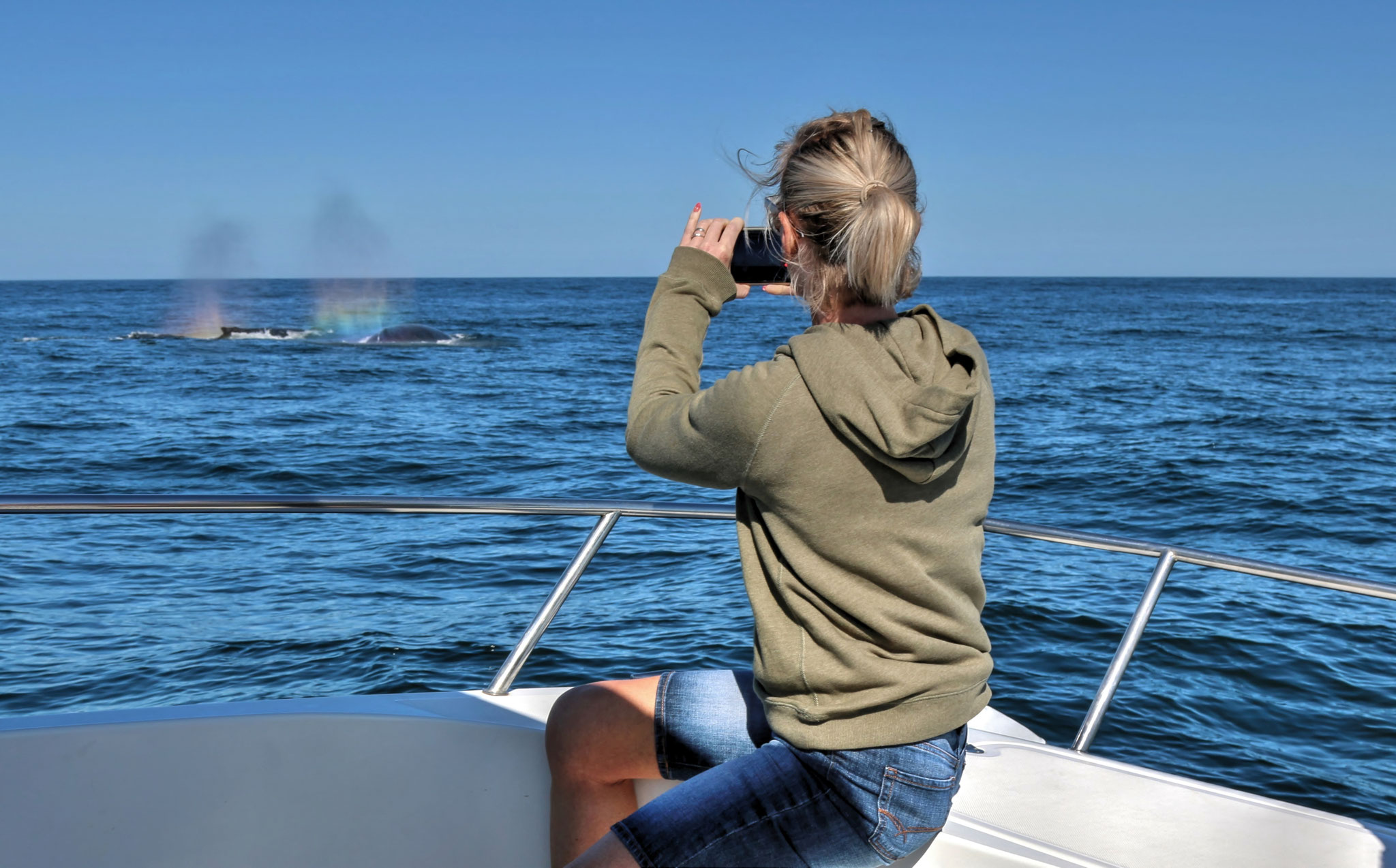 Whale watching and boat tours, San Luis Obispo, Pismo Beach, Avila