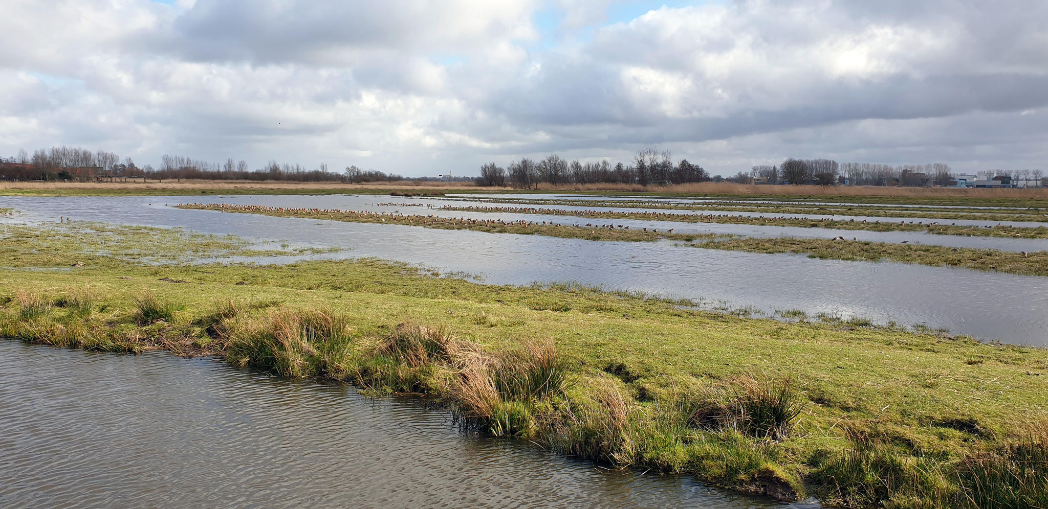14/3 Lunchwandeling