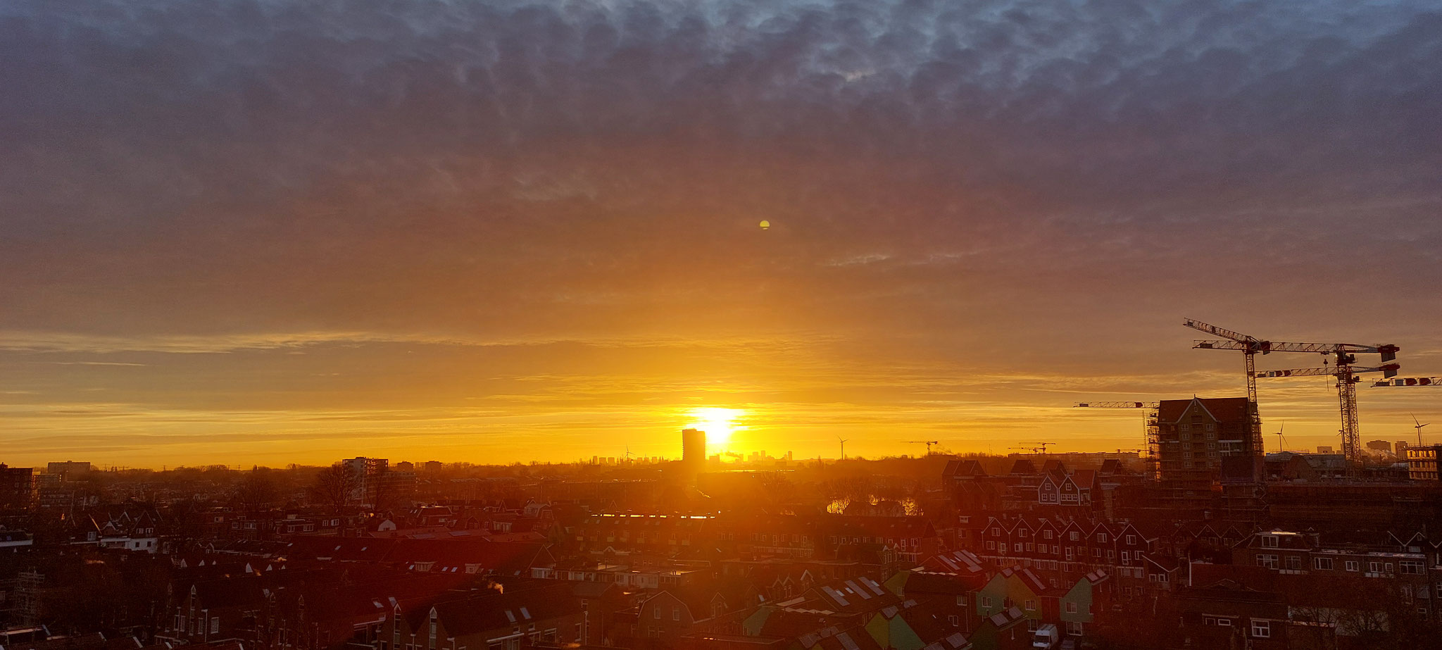 Zaandam