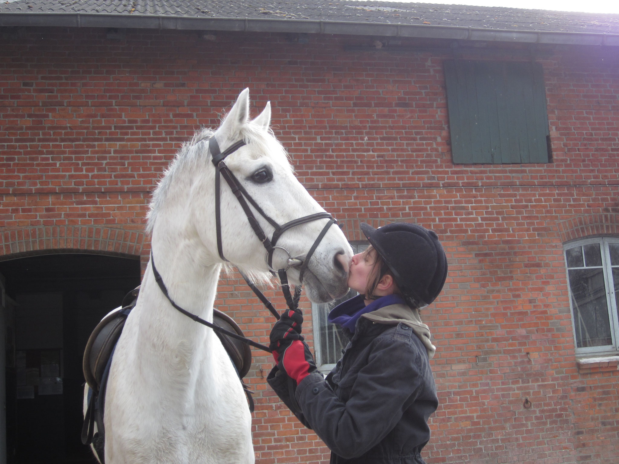 Reiten