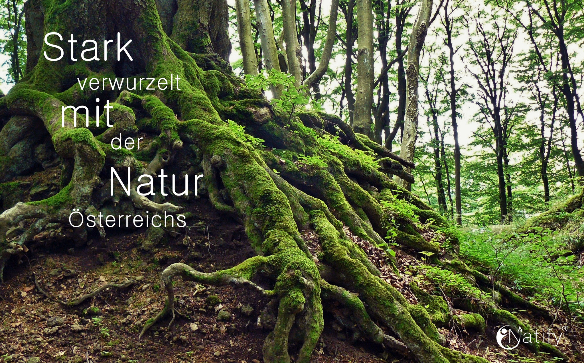 Natify - Training im Einklang mit der Natur