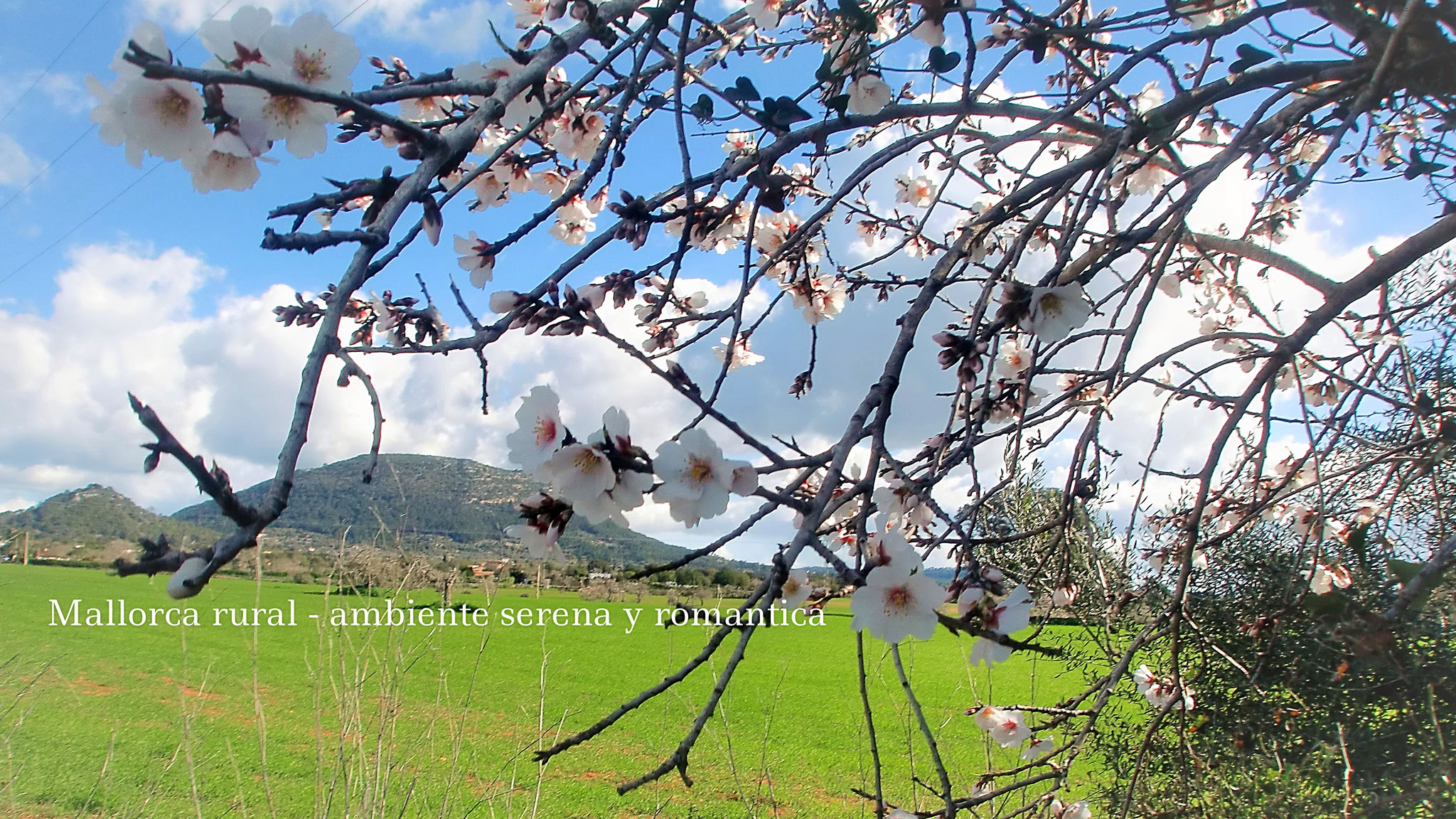 Finca Flora - LLucmajor
