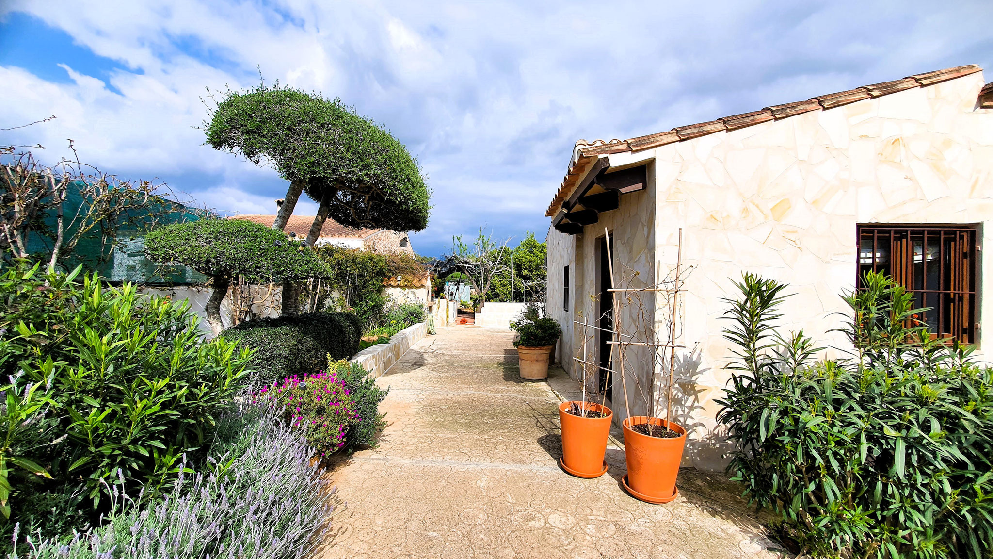 Venta: Finca en LLucmajor