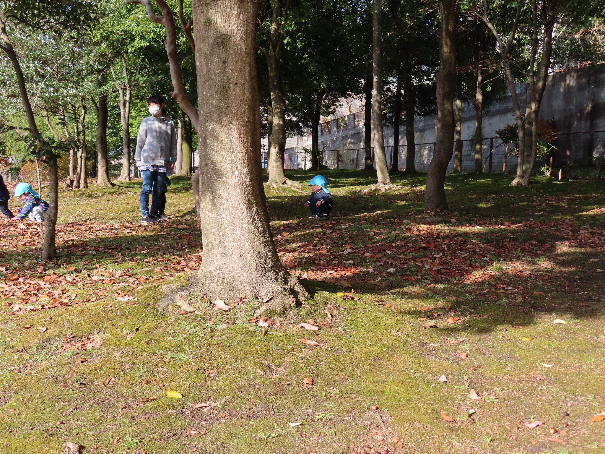 七北田公園での活動