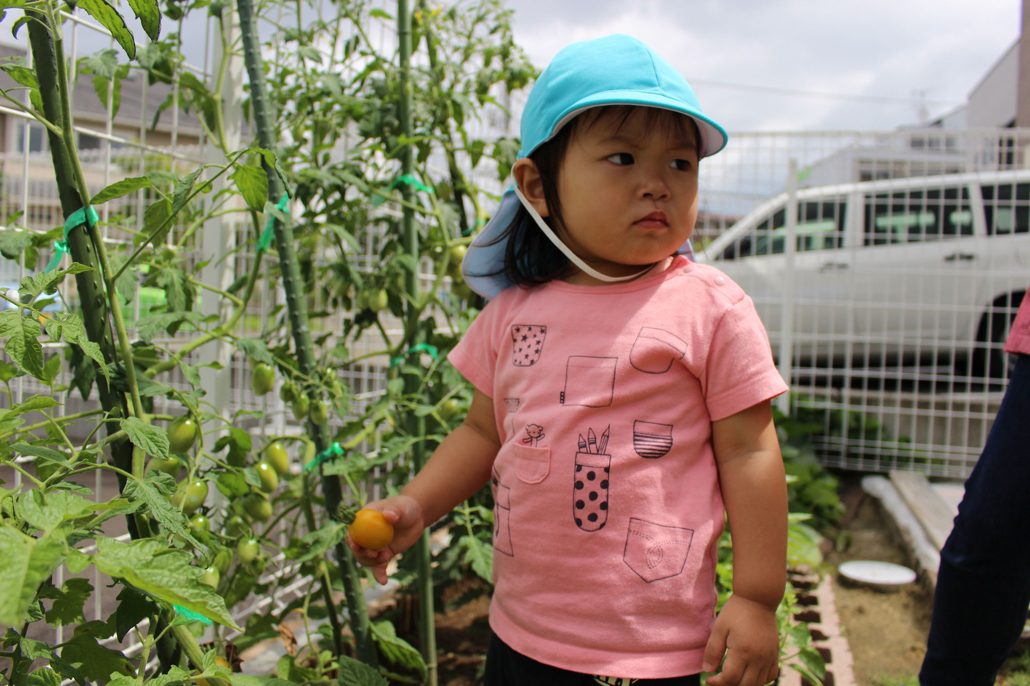 野菜を　手に取り　凛々しい　表情を浮かべる　Ｍちゃん　見据える先には　何があるのかな～　とっても気になります！