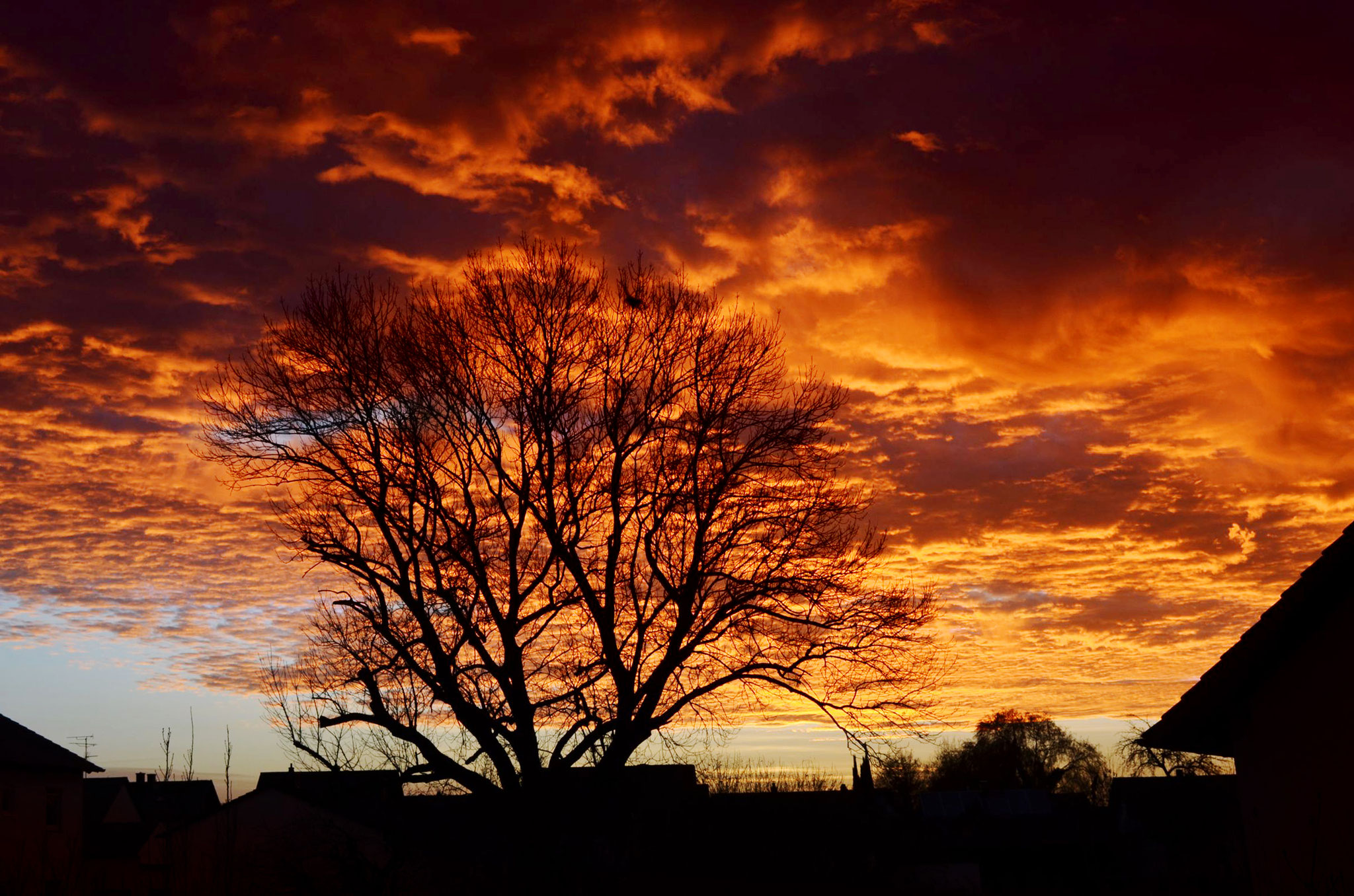 Stefan Boda "Sonnenuntergang"