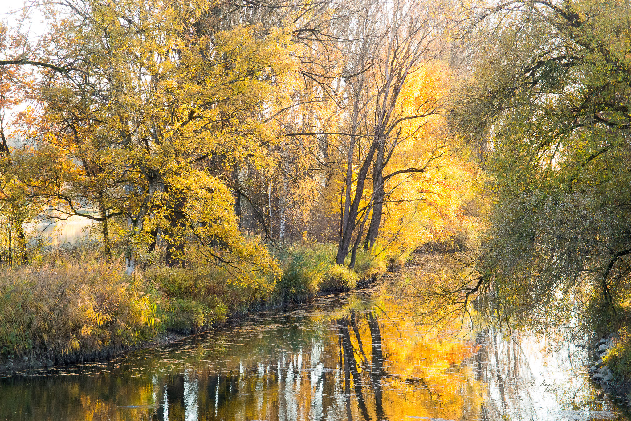 Alfred Mayr "Isar bei Plattling"