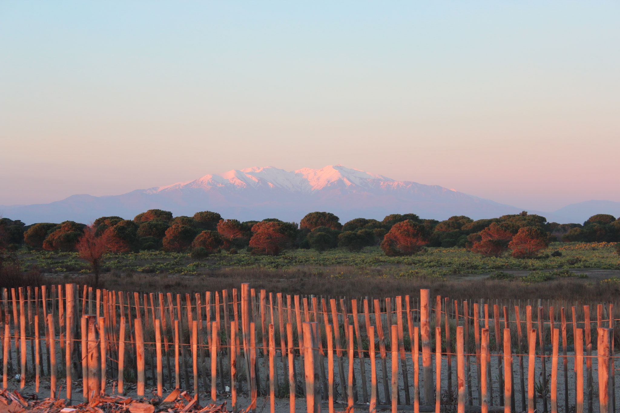 Der morgendliche Canigou