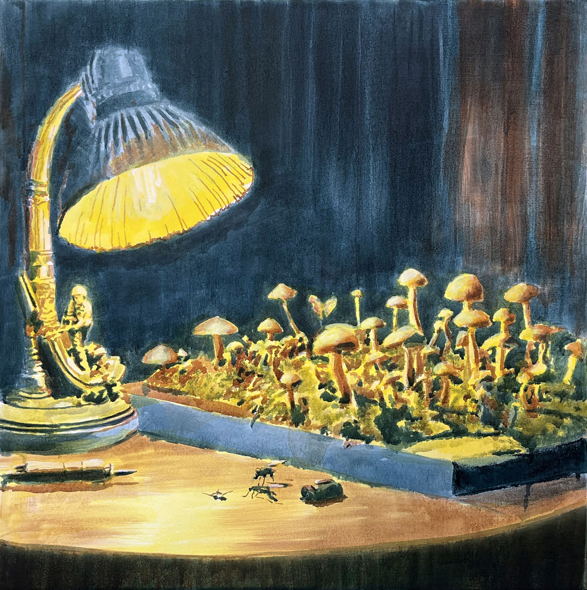 Schirmlinge | Tusche und Farbstift auf Nessel | 65 × 65 cm | 2025
