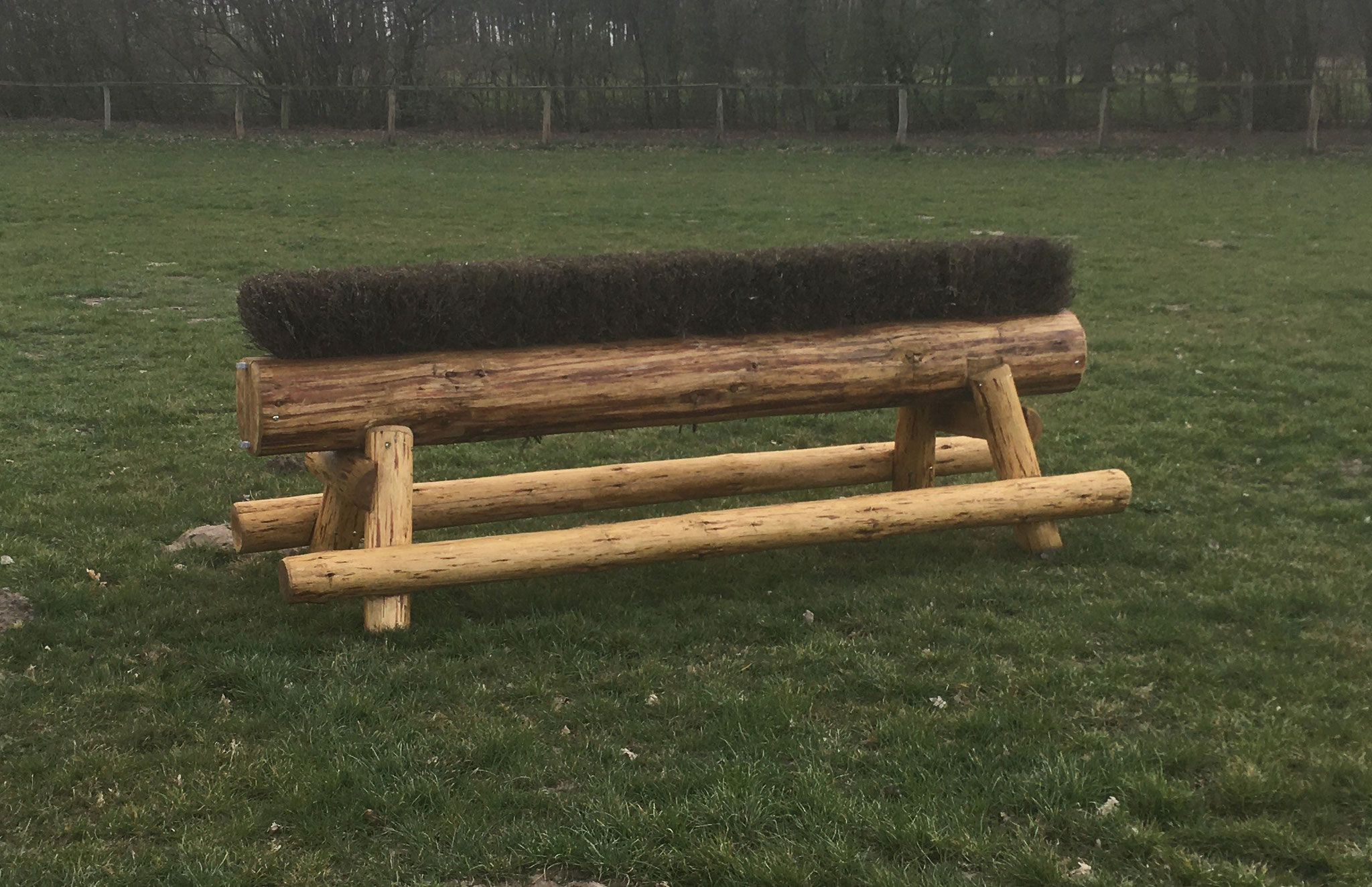 Freihe Hecke   700€  (bei Höhe ca 80cm und Breite 250cm)