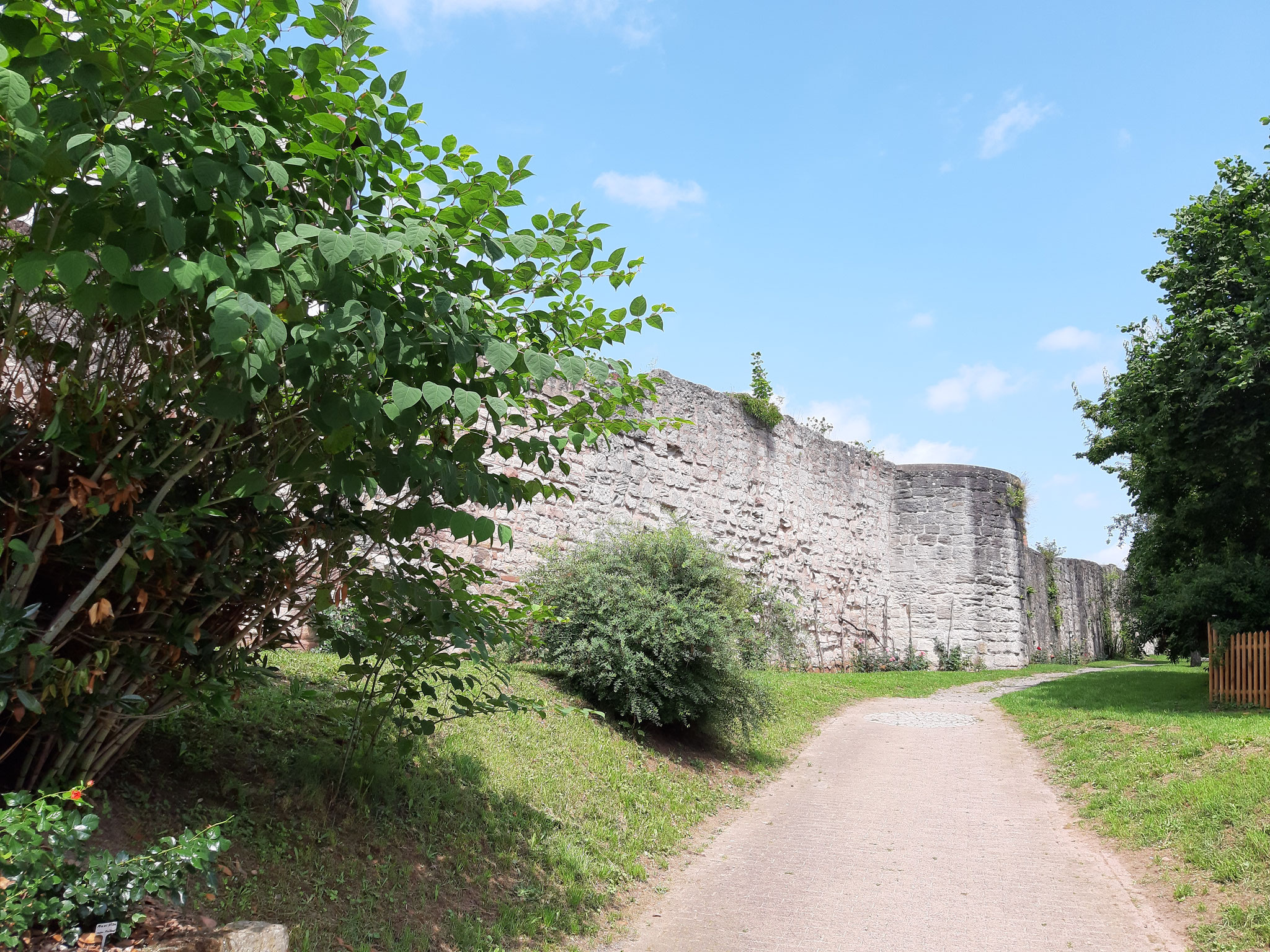 Die alte Stadtmauer in Bad Sooden-Allendorf