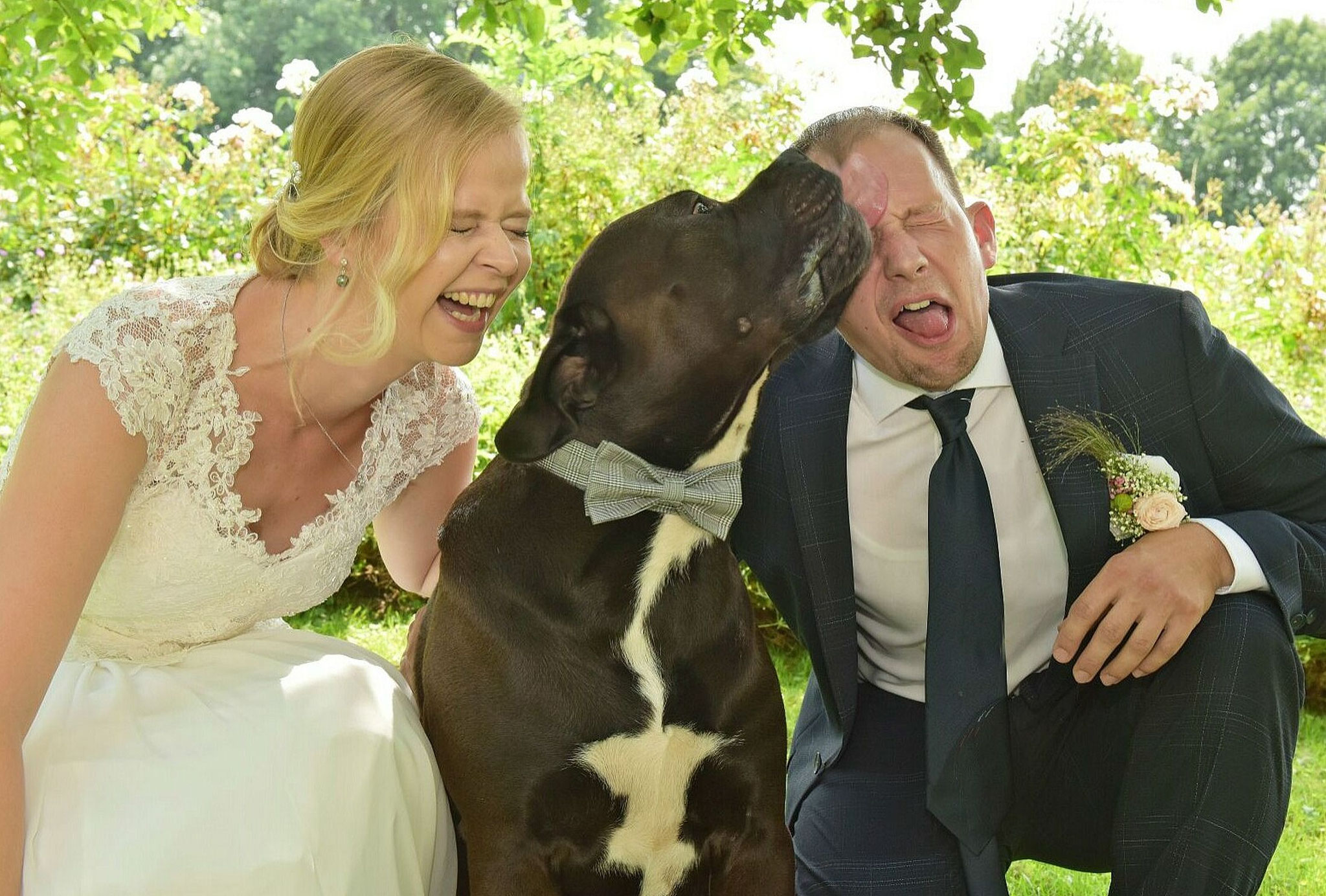 Brautpaar lacht mit Hund – natürliche Hochzeitsmomente mit Haustier