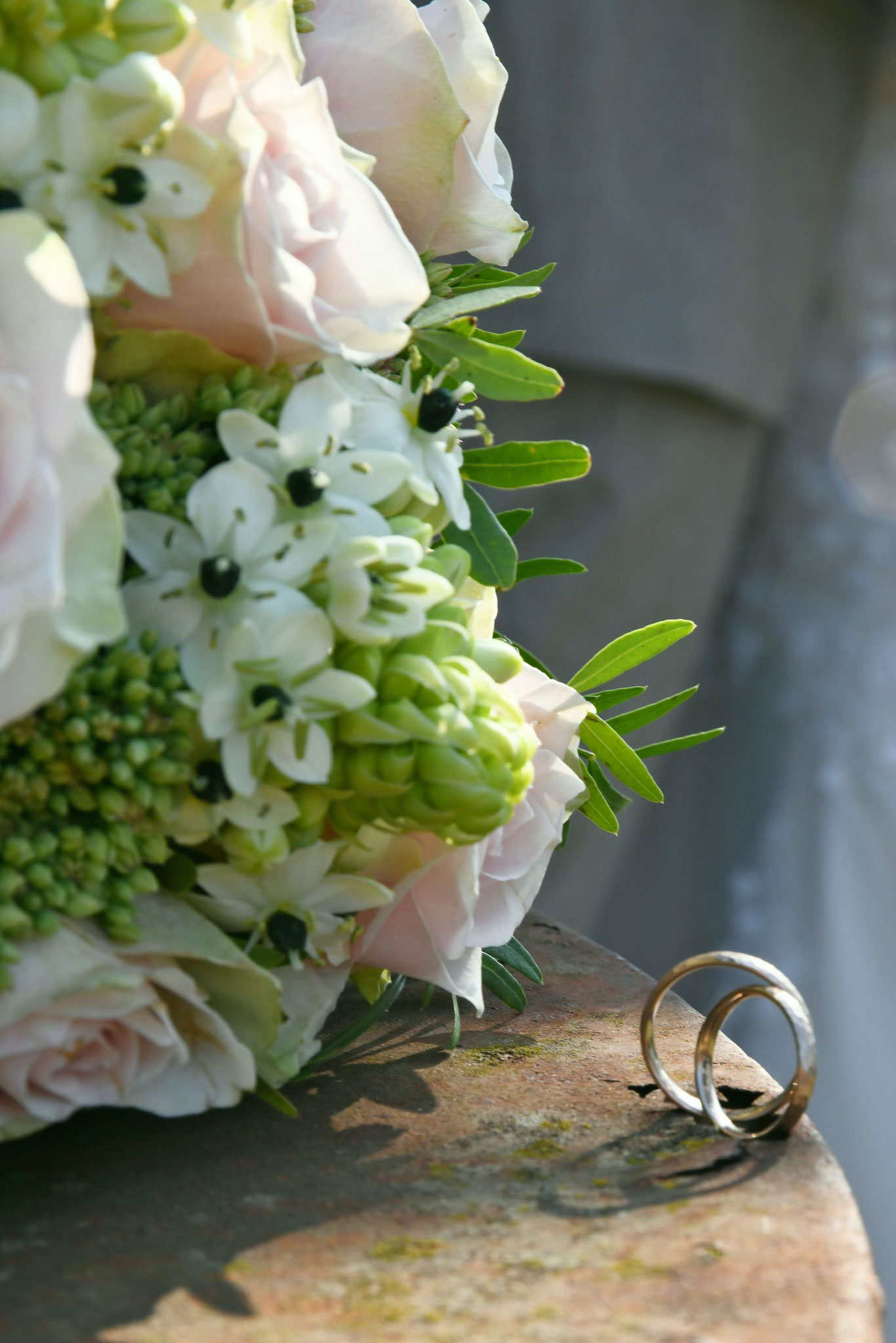 Detailliebe zur Hochzeit - Ringe im Fokus