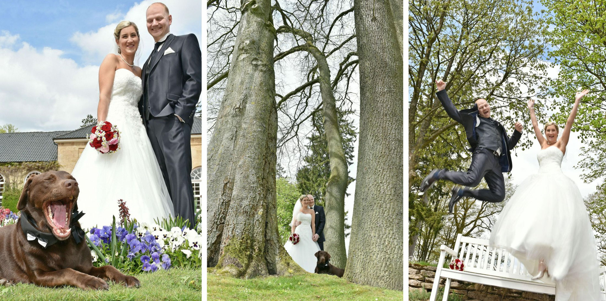 Brautpaar mit Hund – persönliche Hochzeitsmomente  - Hochzeitsfotograf Bielefeld