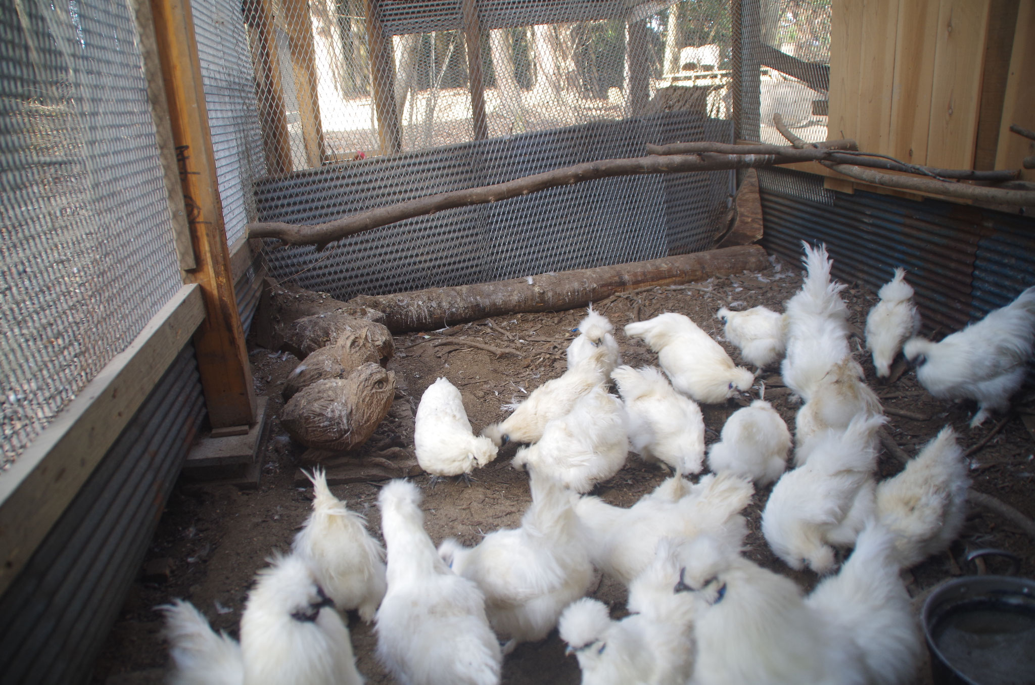 小屋の中はこんな様子です