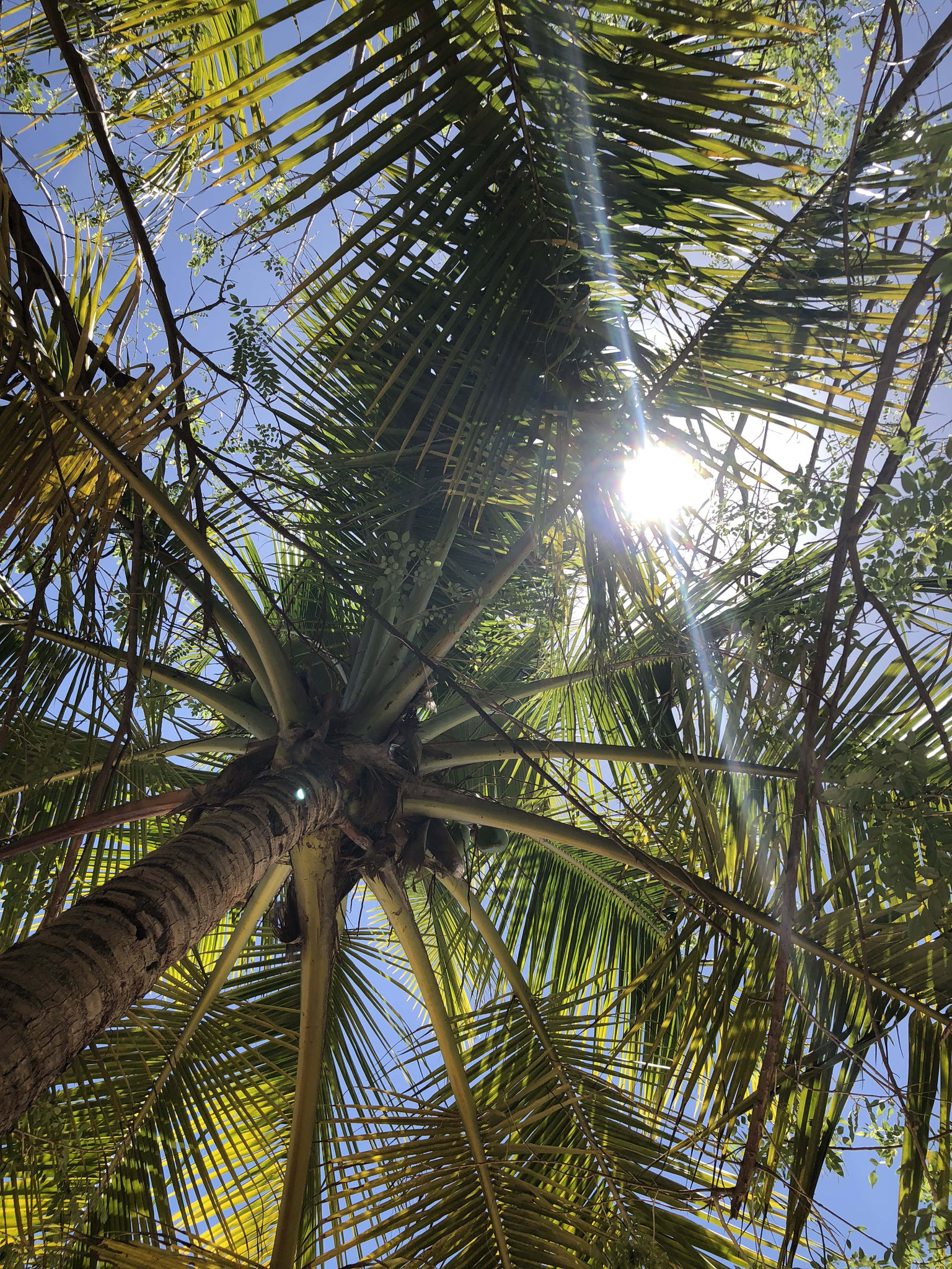 Martinique © Tiegel-Reisen