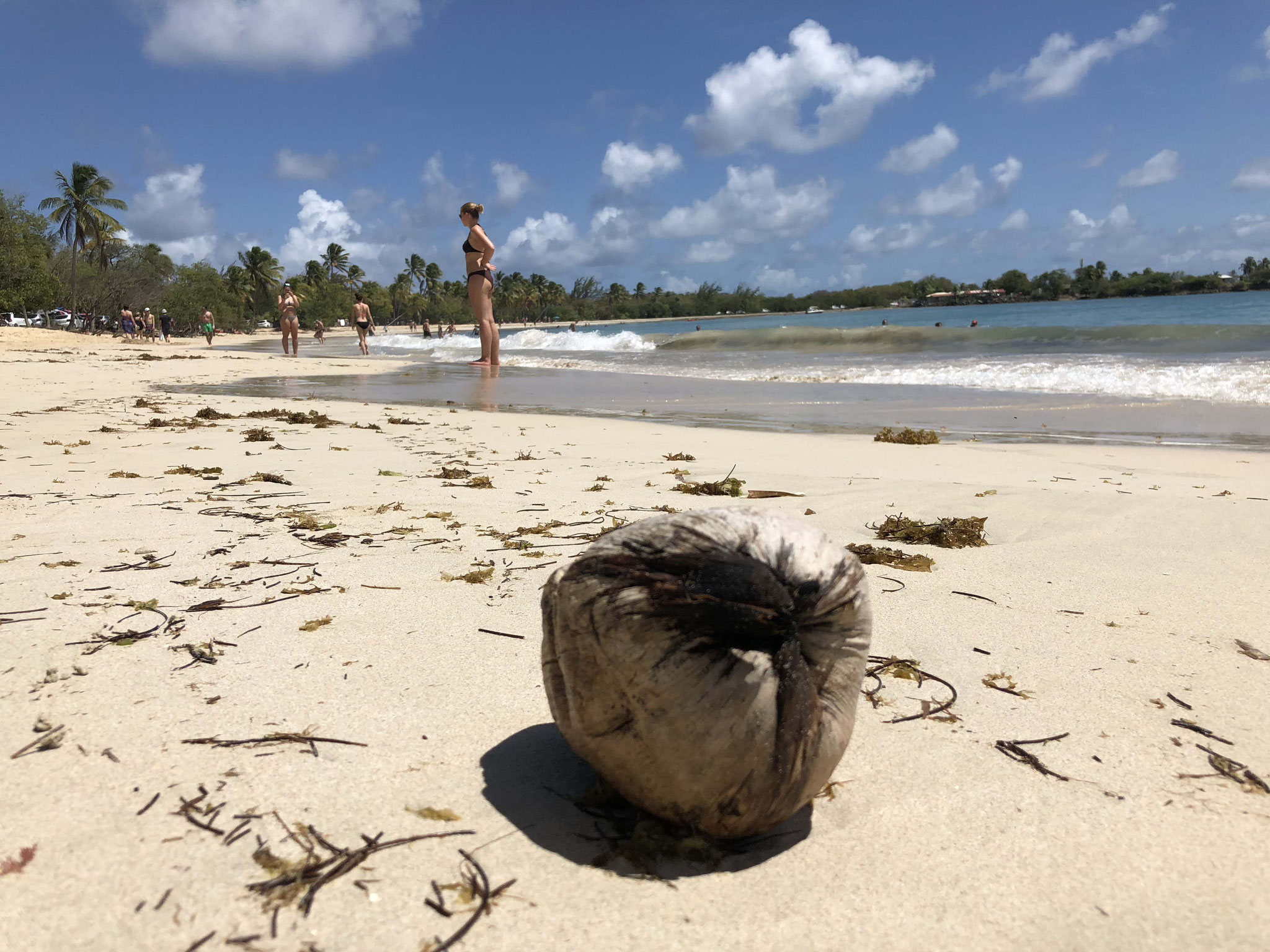 Martinique © Tiegel-Reisen