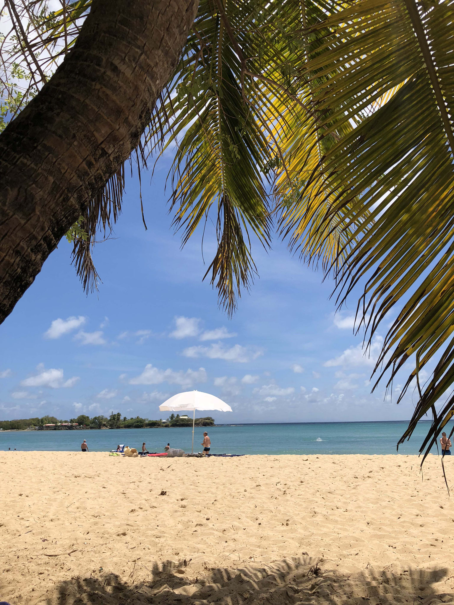 Martinique © Tiegel-Reisen